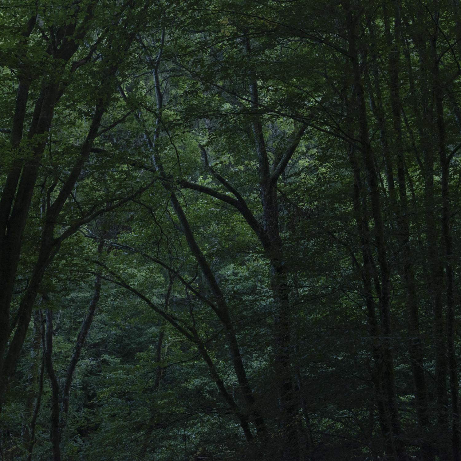 Promontoires du silence Didier Goupy