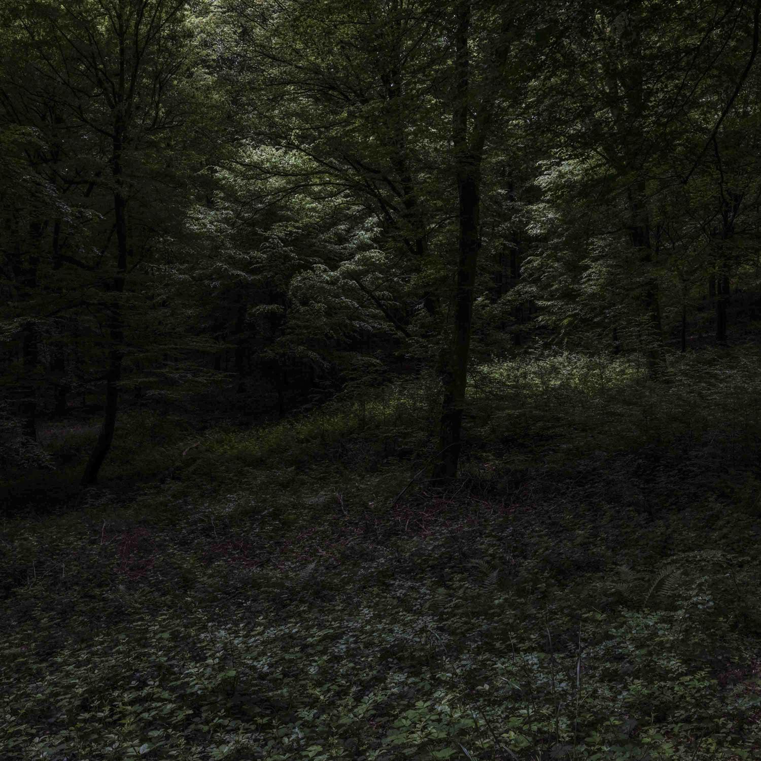 Promontoires du silence Didier Goupy