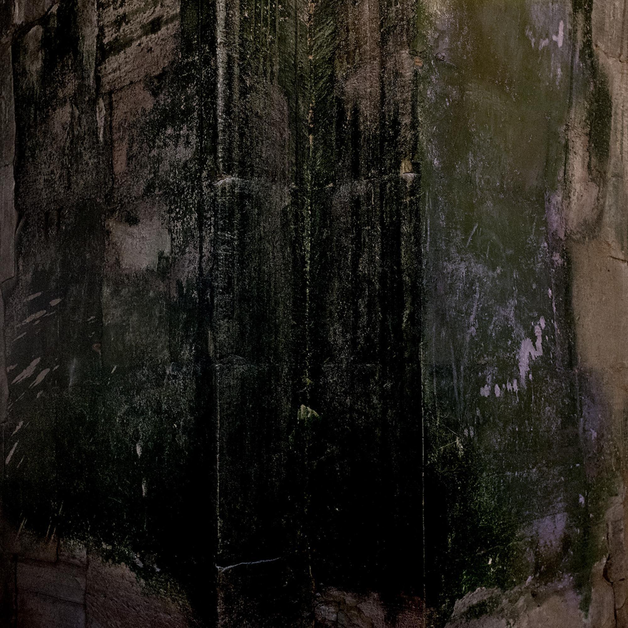 L'odyssée Didier Goupy