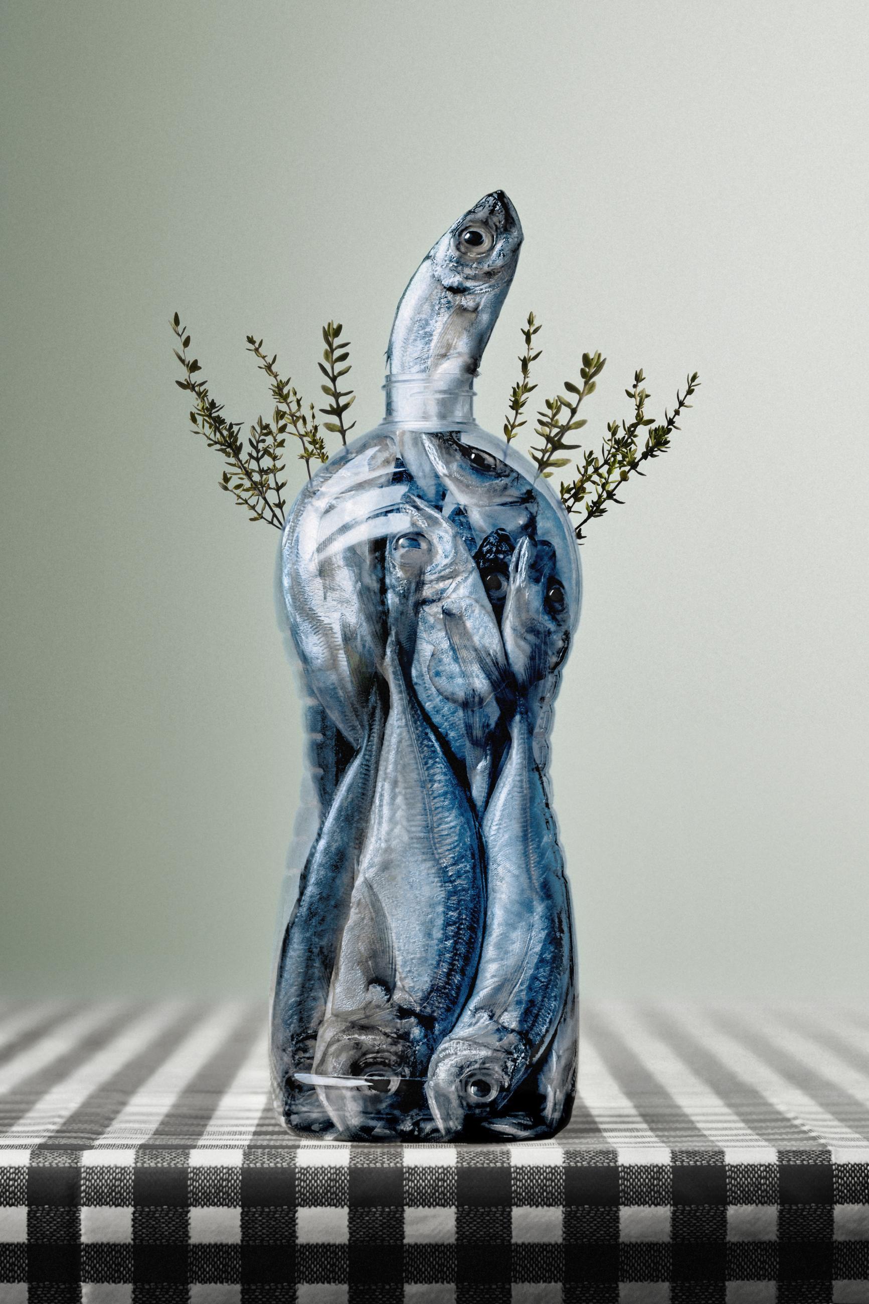 Embouteillages Ludovic Alussi