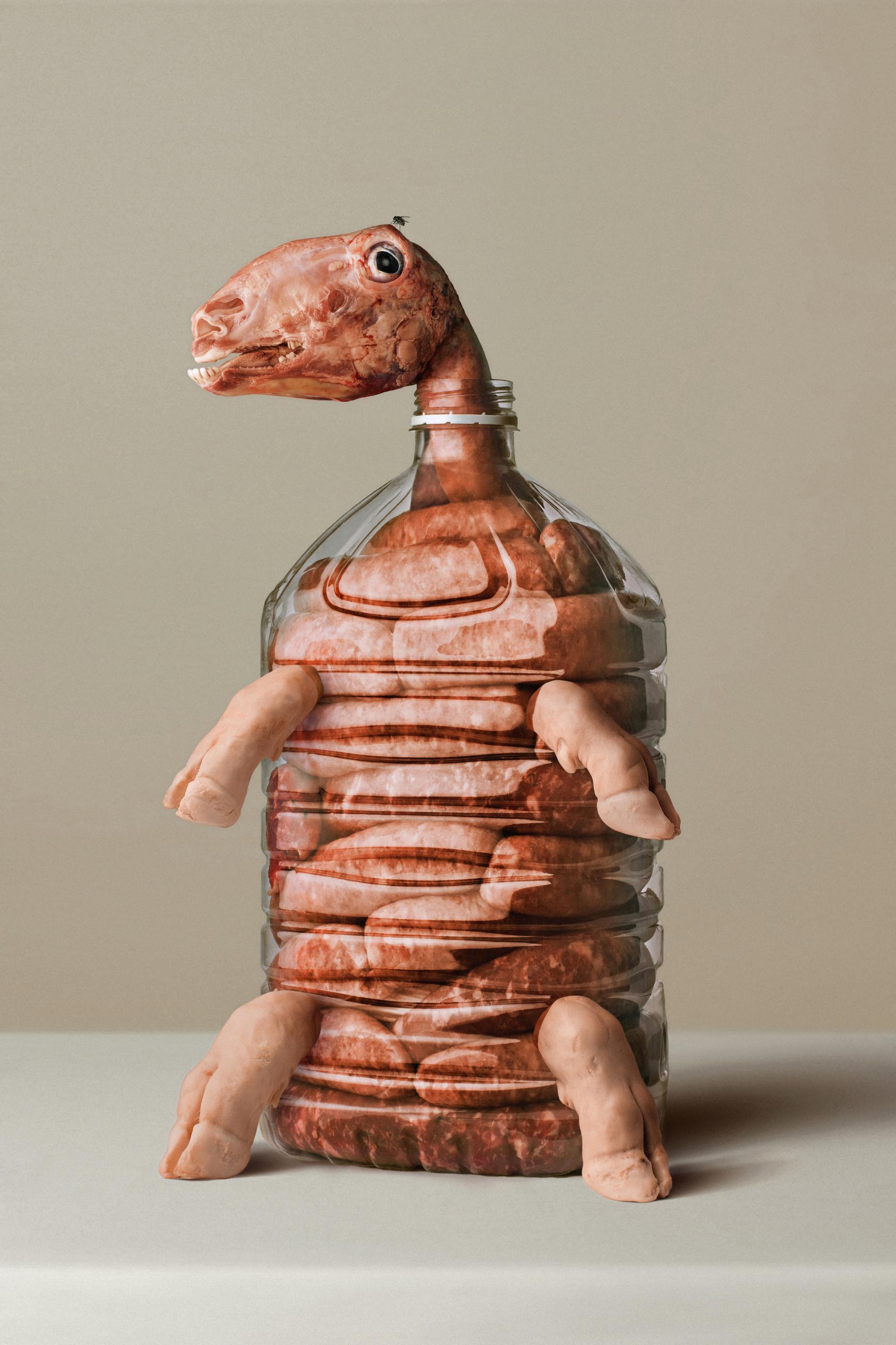 Embouteillages Ludovic Alussi