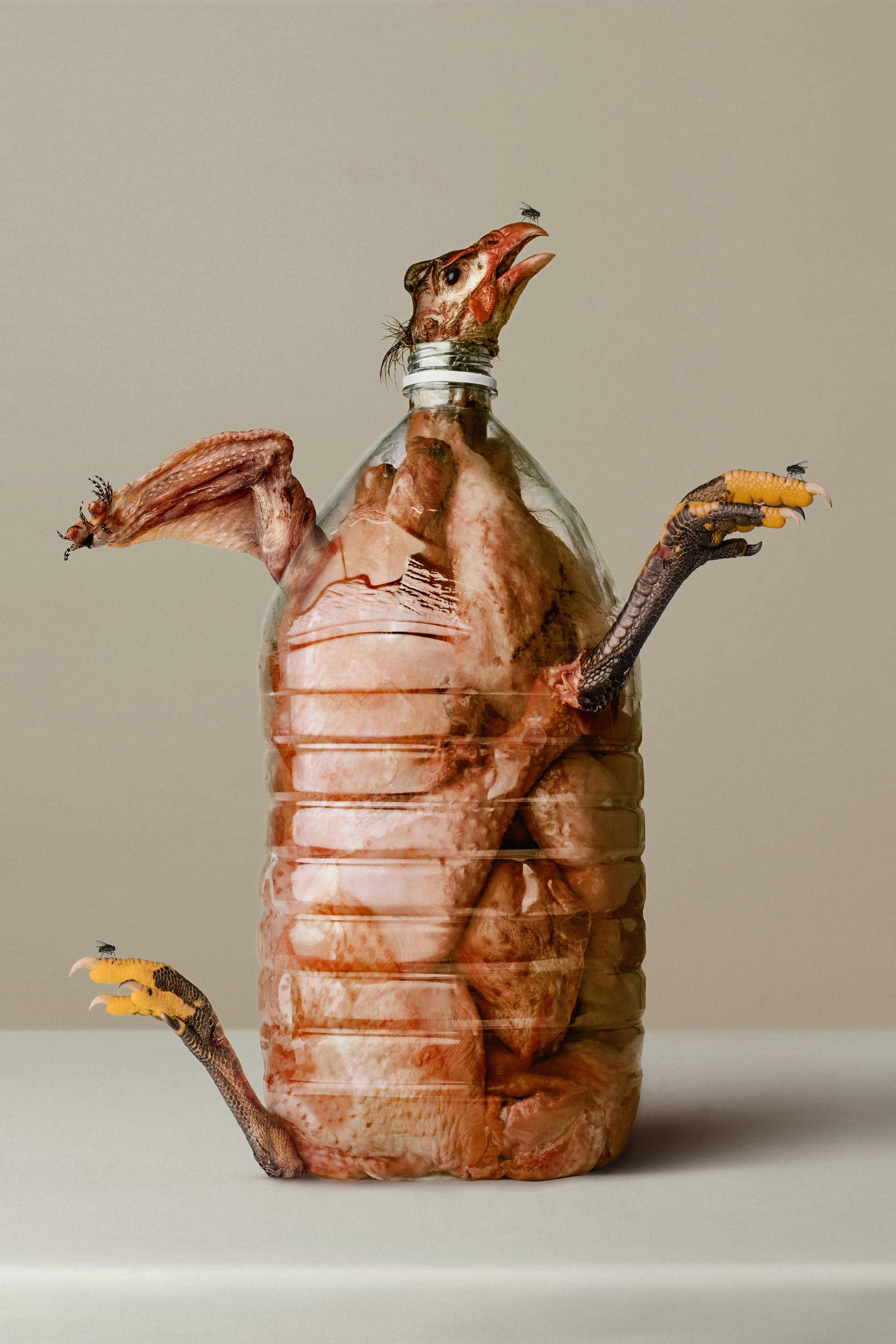 Embouteillages Ludovic Alussi