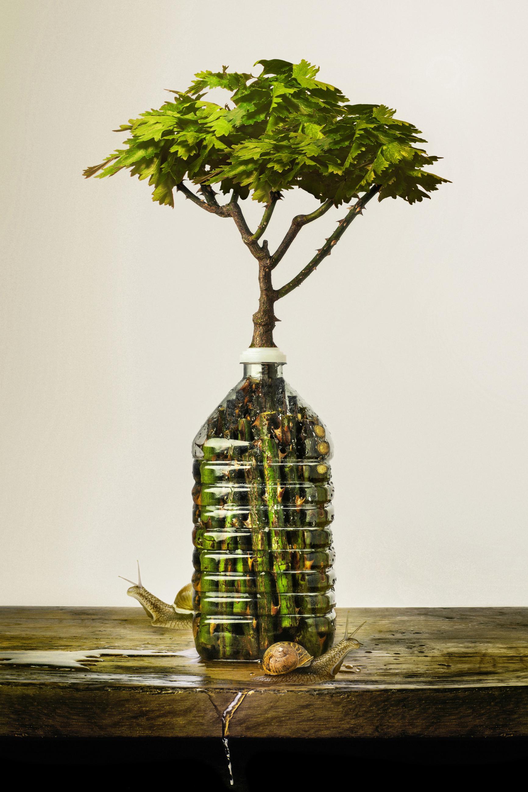 Embouteillages Ludovic Alussi