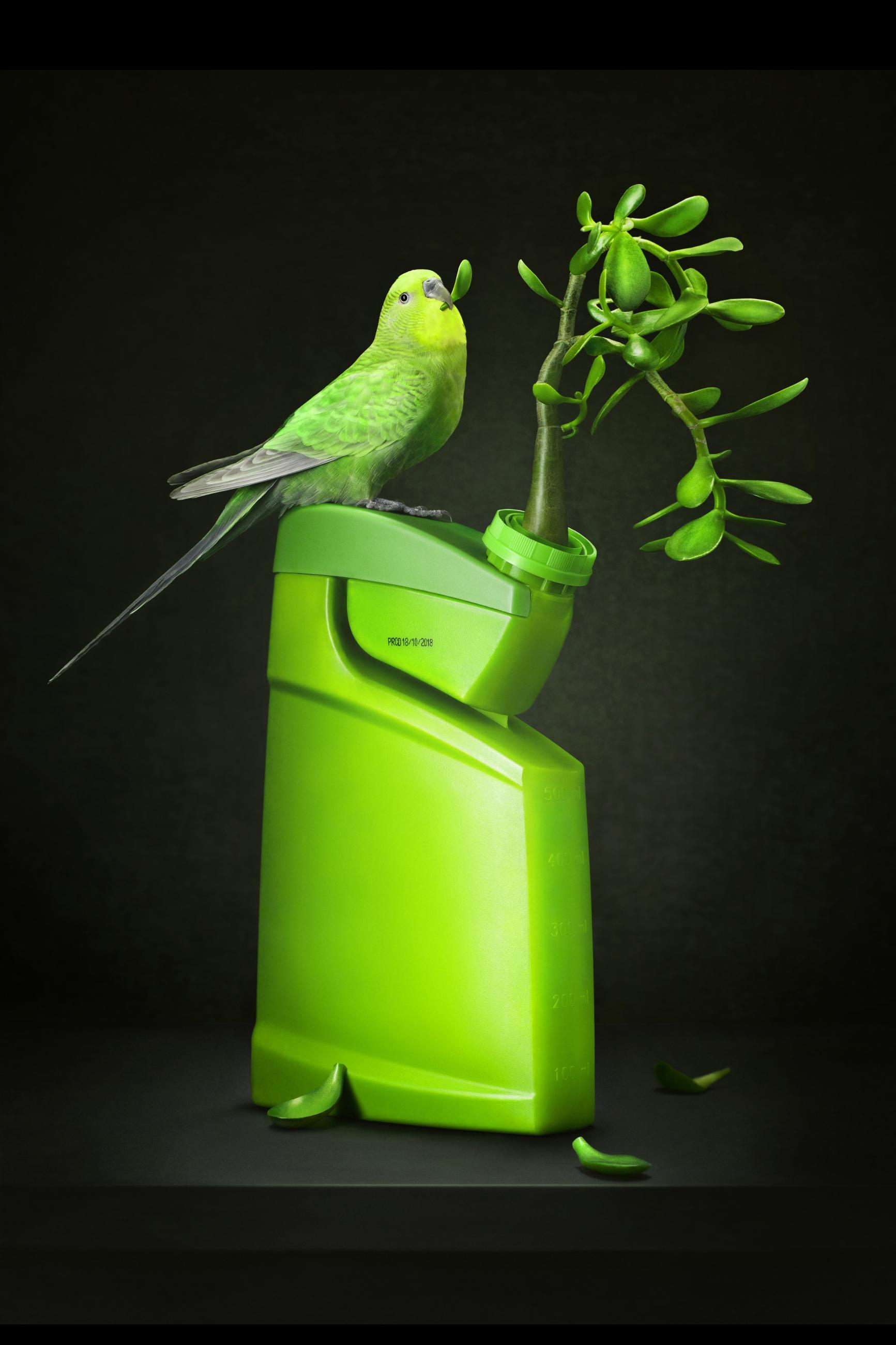 Embouteillages Ludovic Alussi