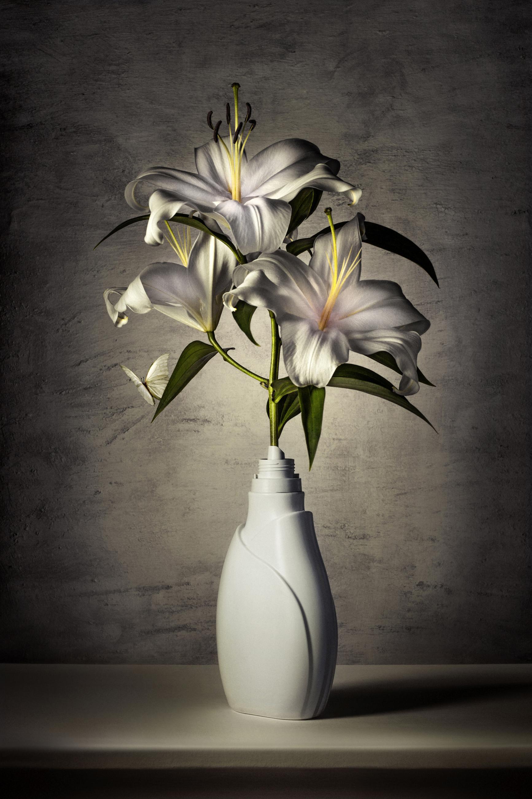 Embouteillages Ludovic Alussi