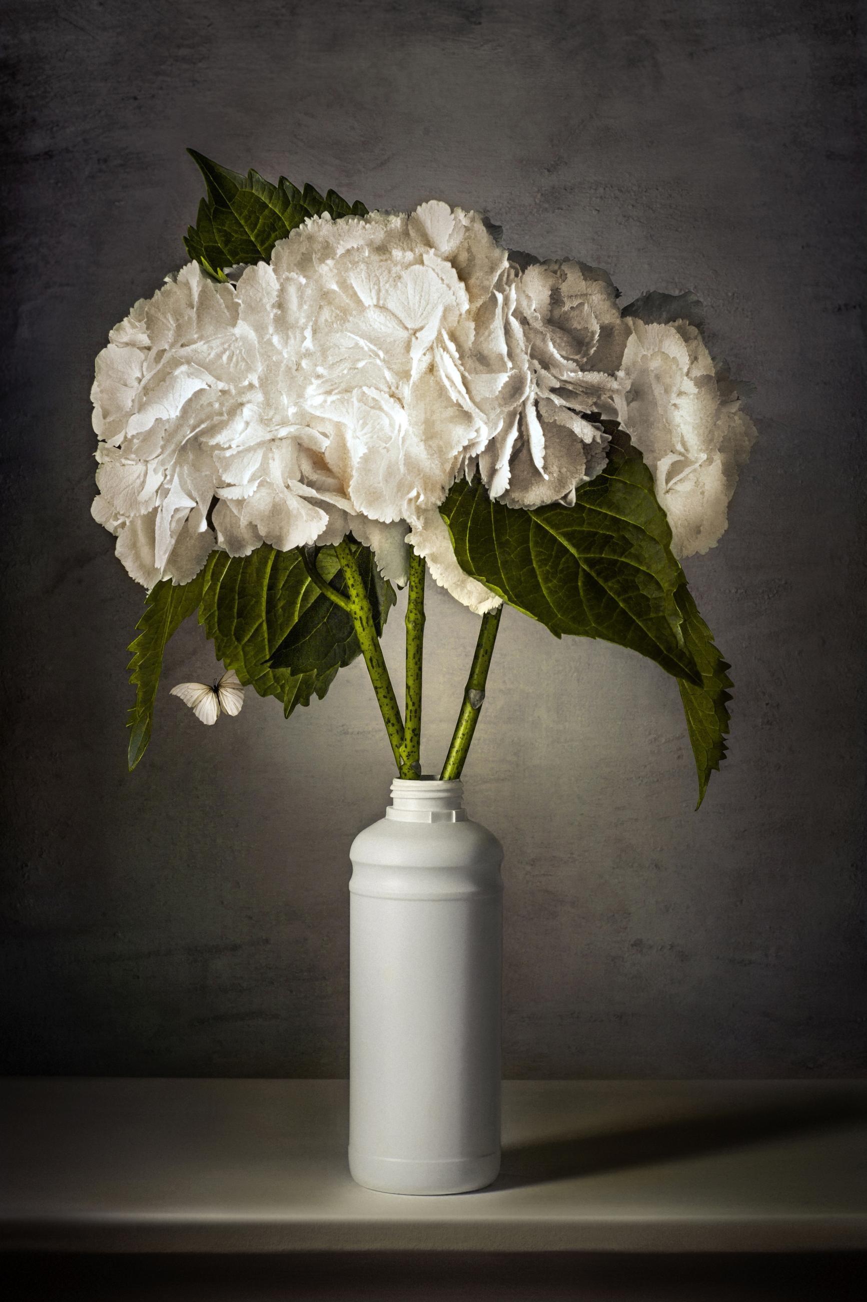 Embouteillages Ludovic Alussi