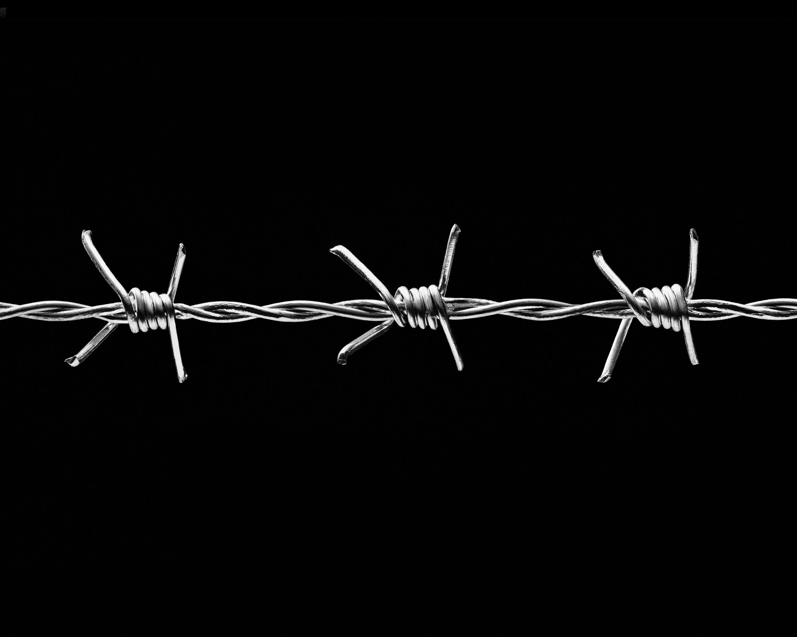 Entre les barbelés Ludovic Alussi