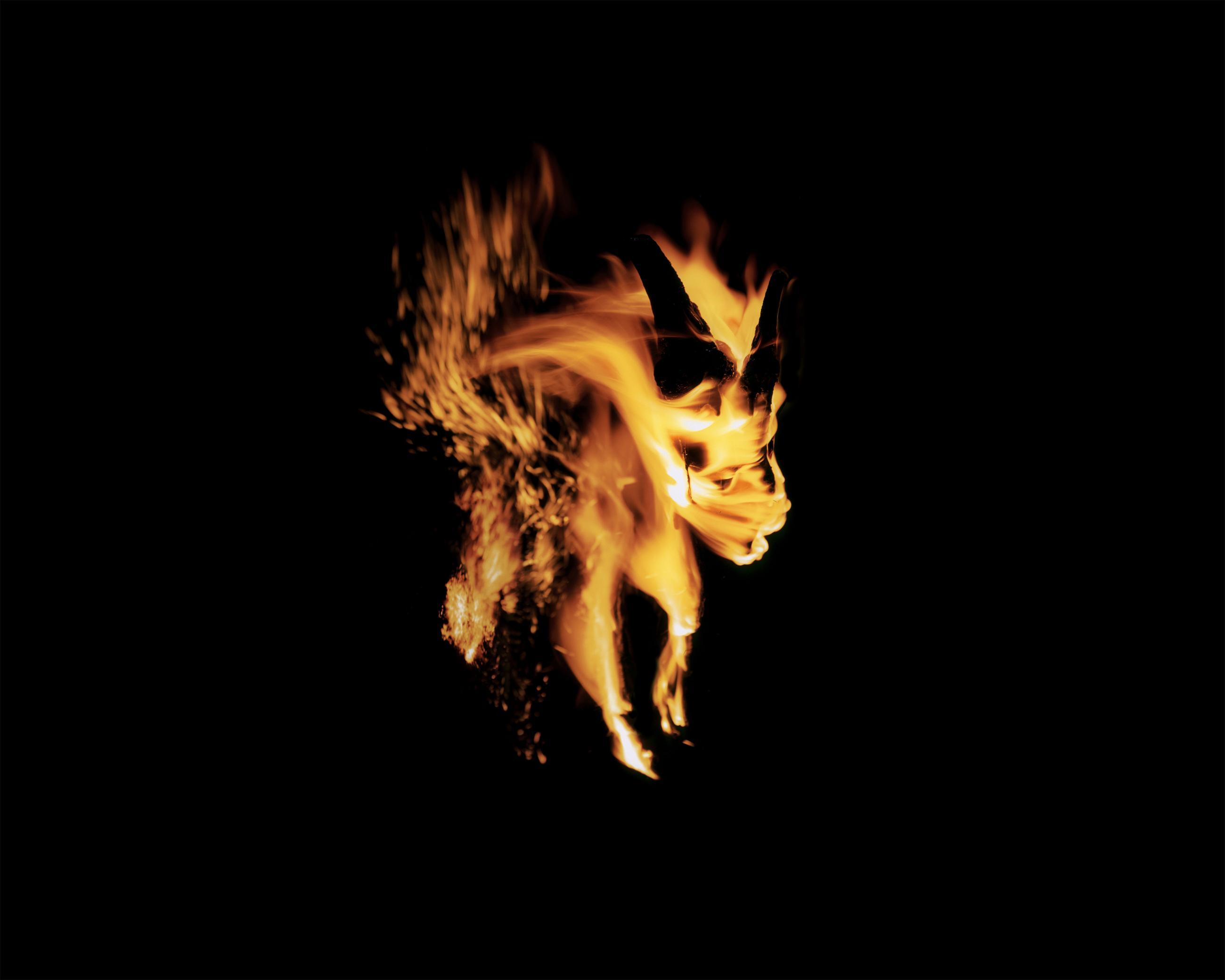 Entre les barbelés Ludovic Alussi