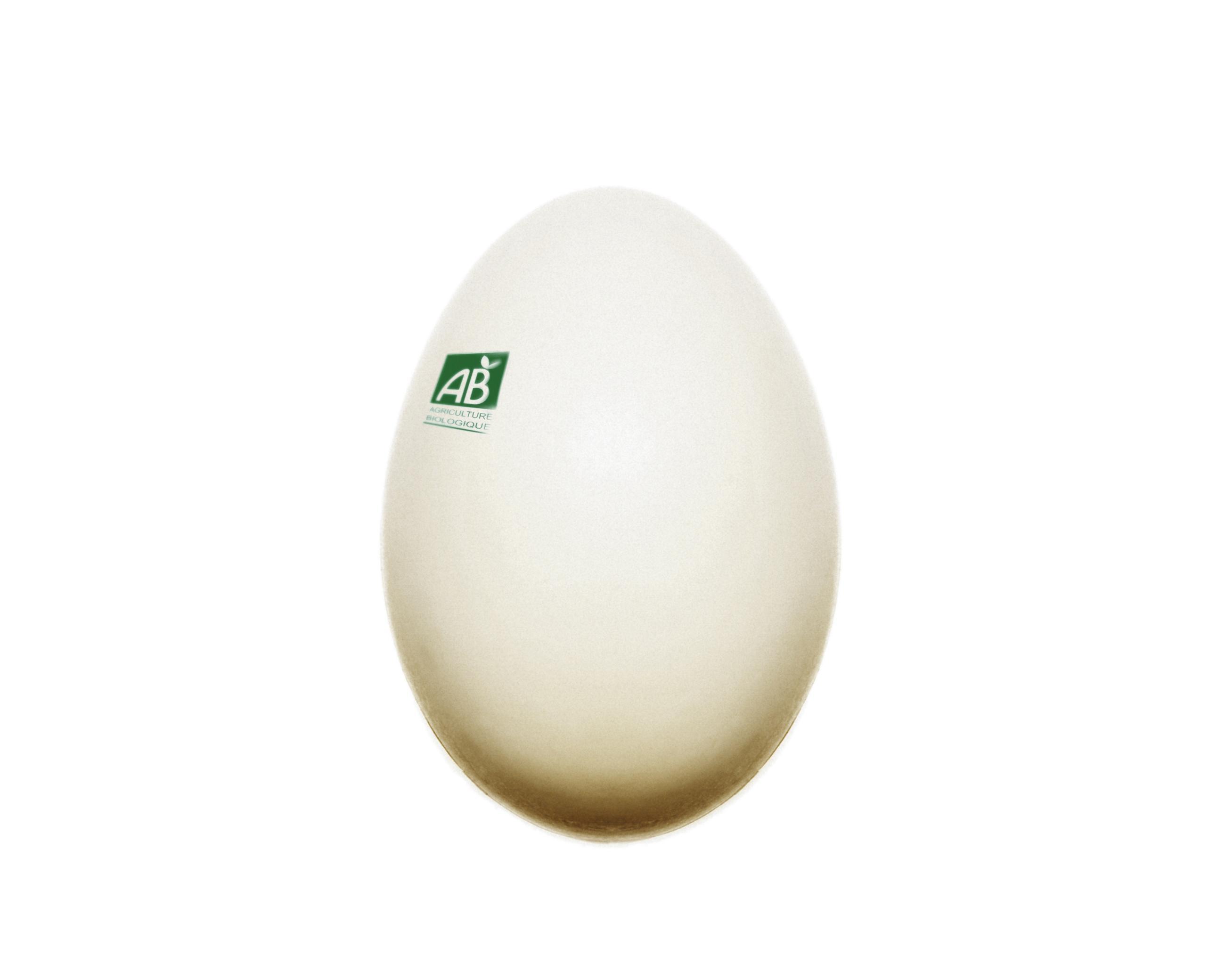 Malbouffe Ludovic Alussi