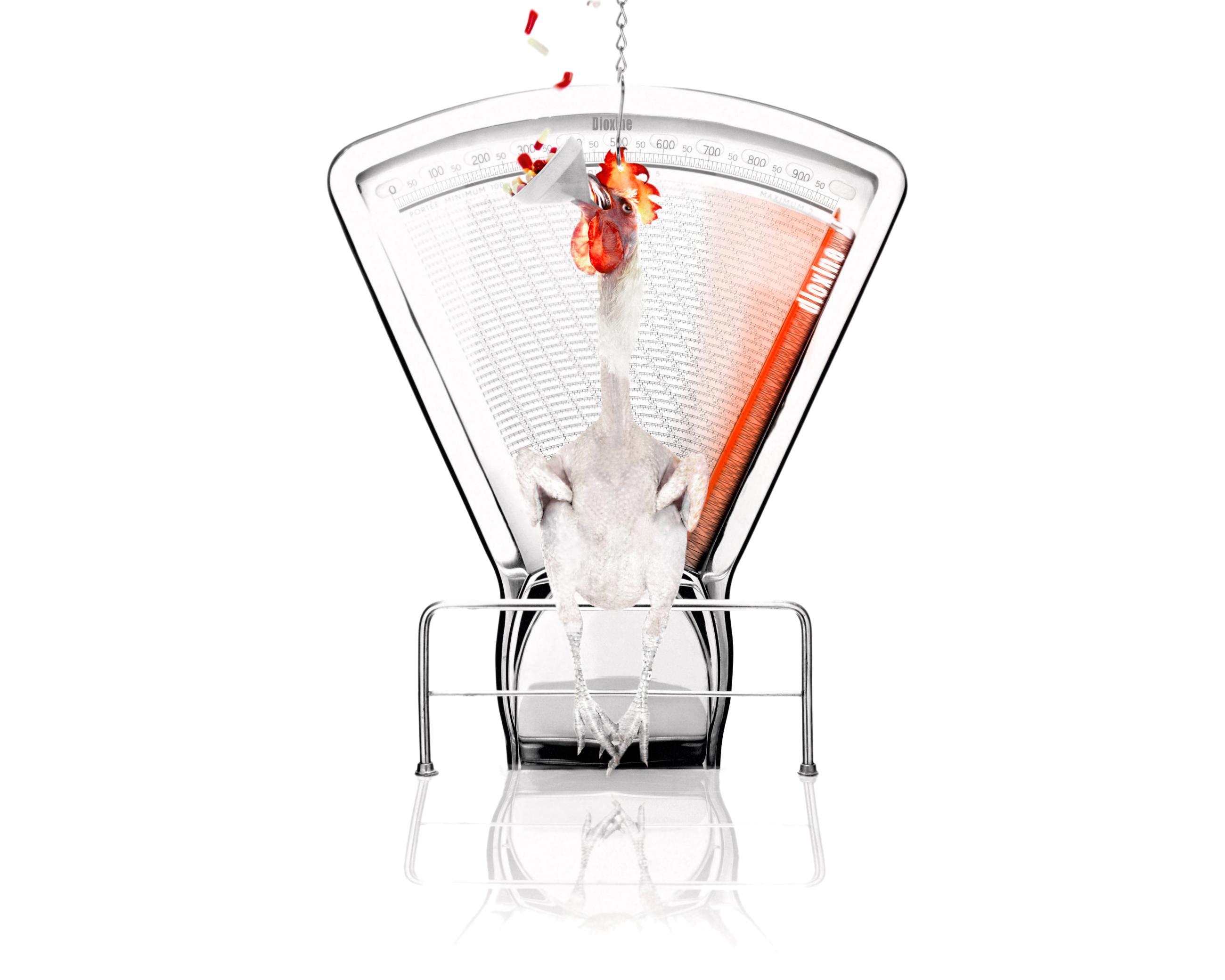 Malbouffe Ludovic Alussi