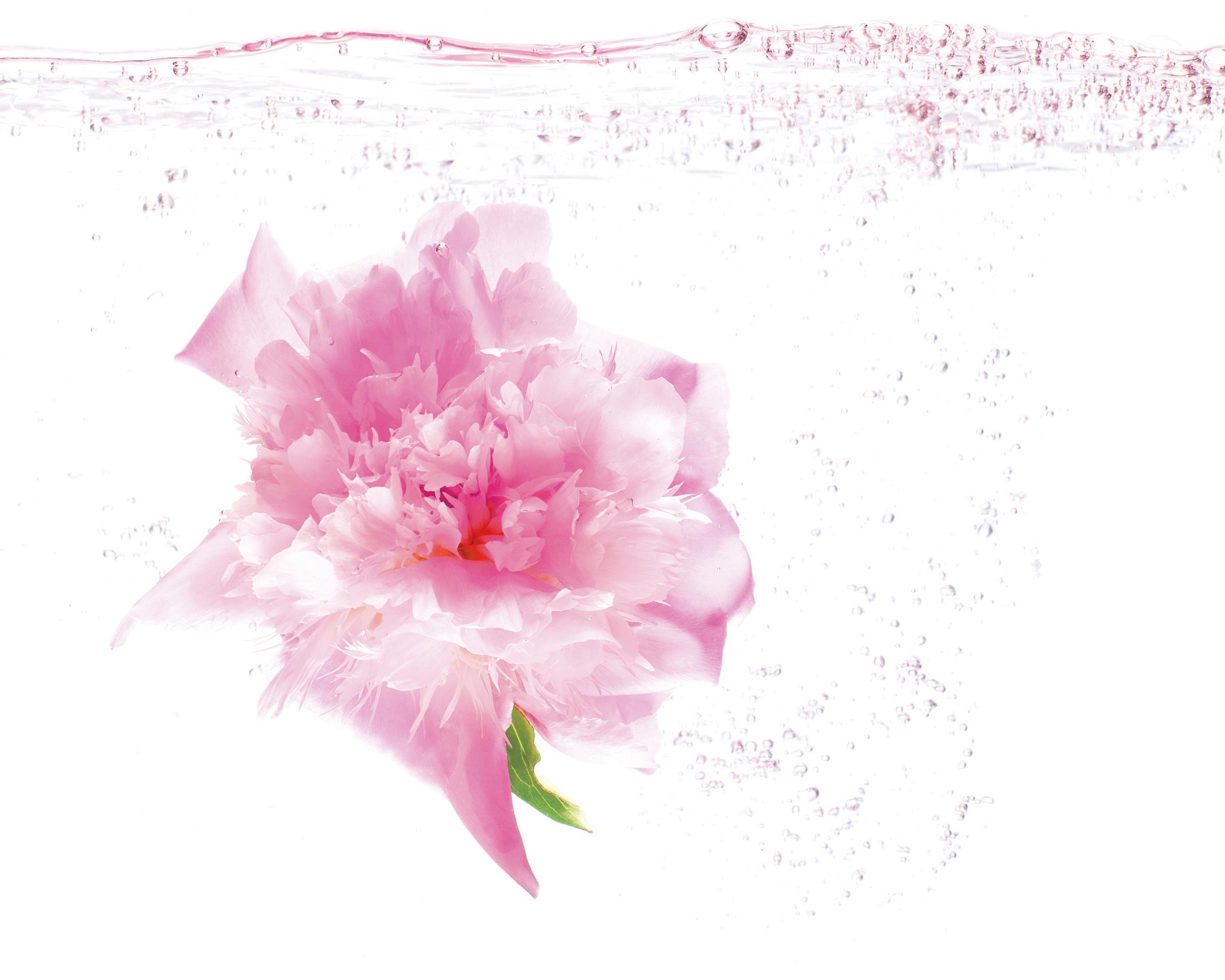 Matières Ludocic Alussi