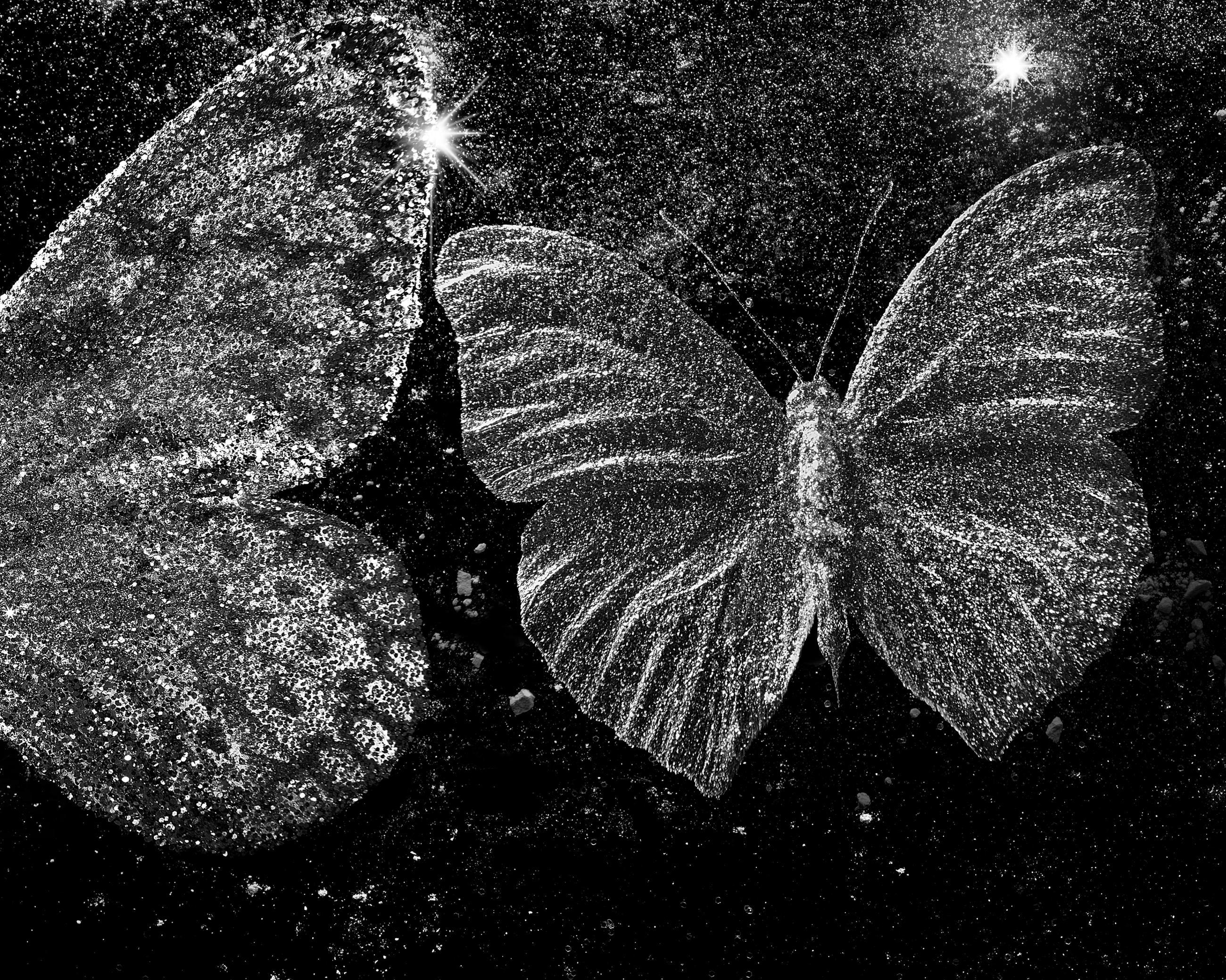 Matières Ludocic Alussi