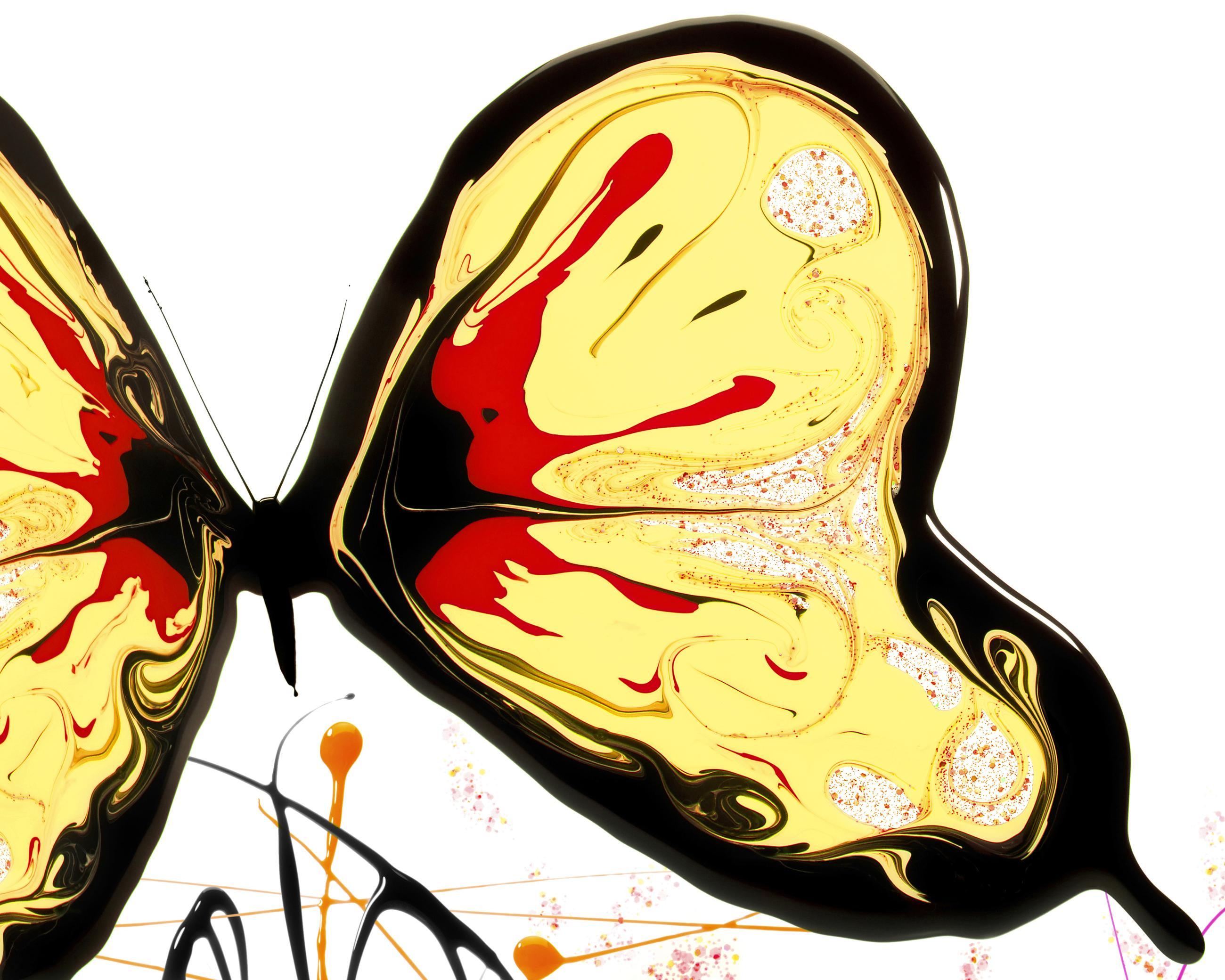 Matières Ludocic Alussi