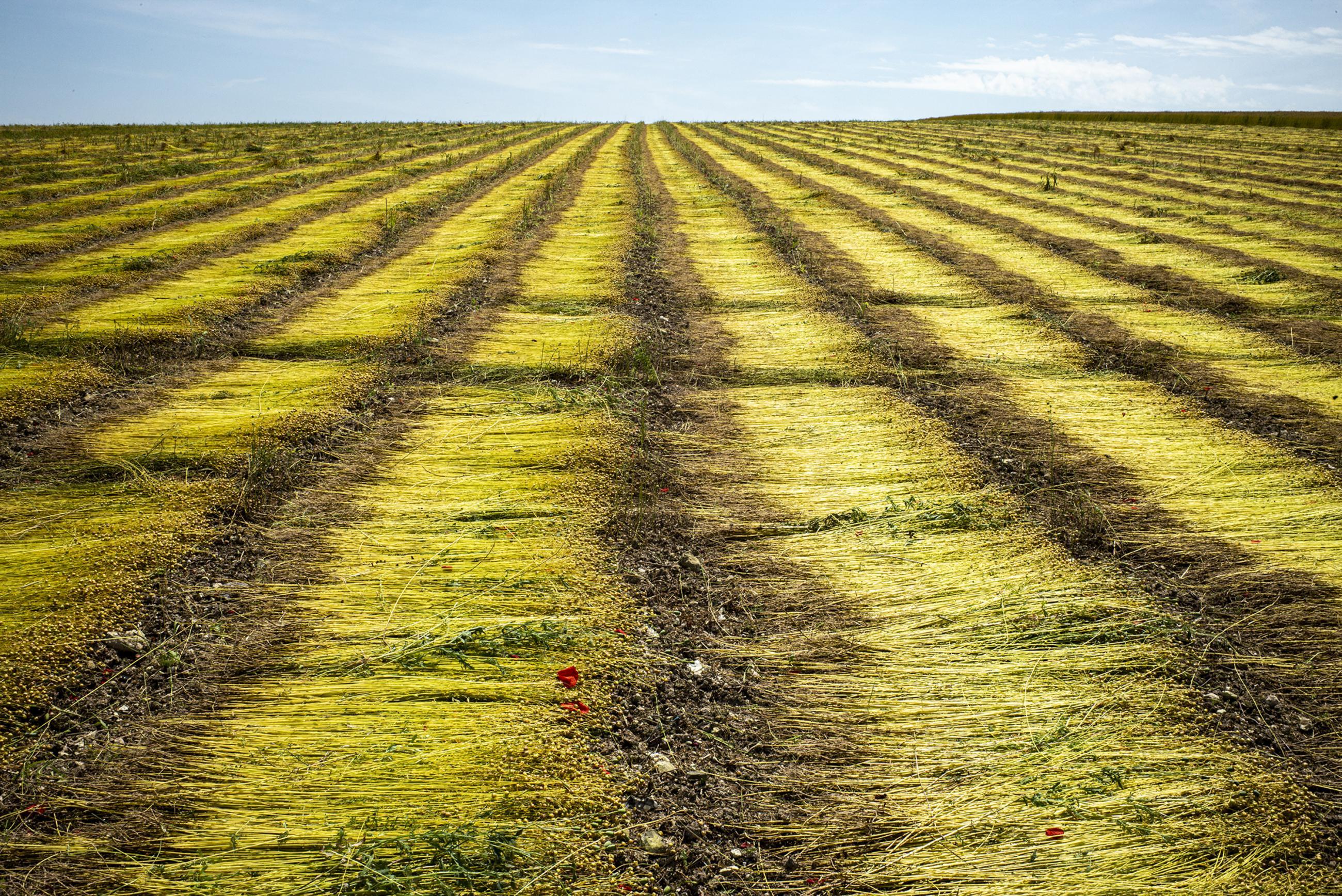 Quand le textile français renoue le fil Raphaël Helle