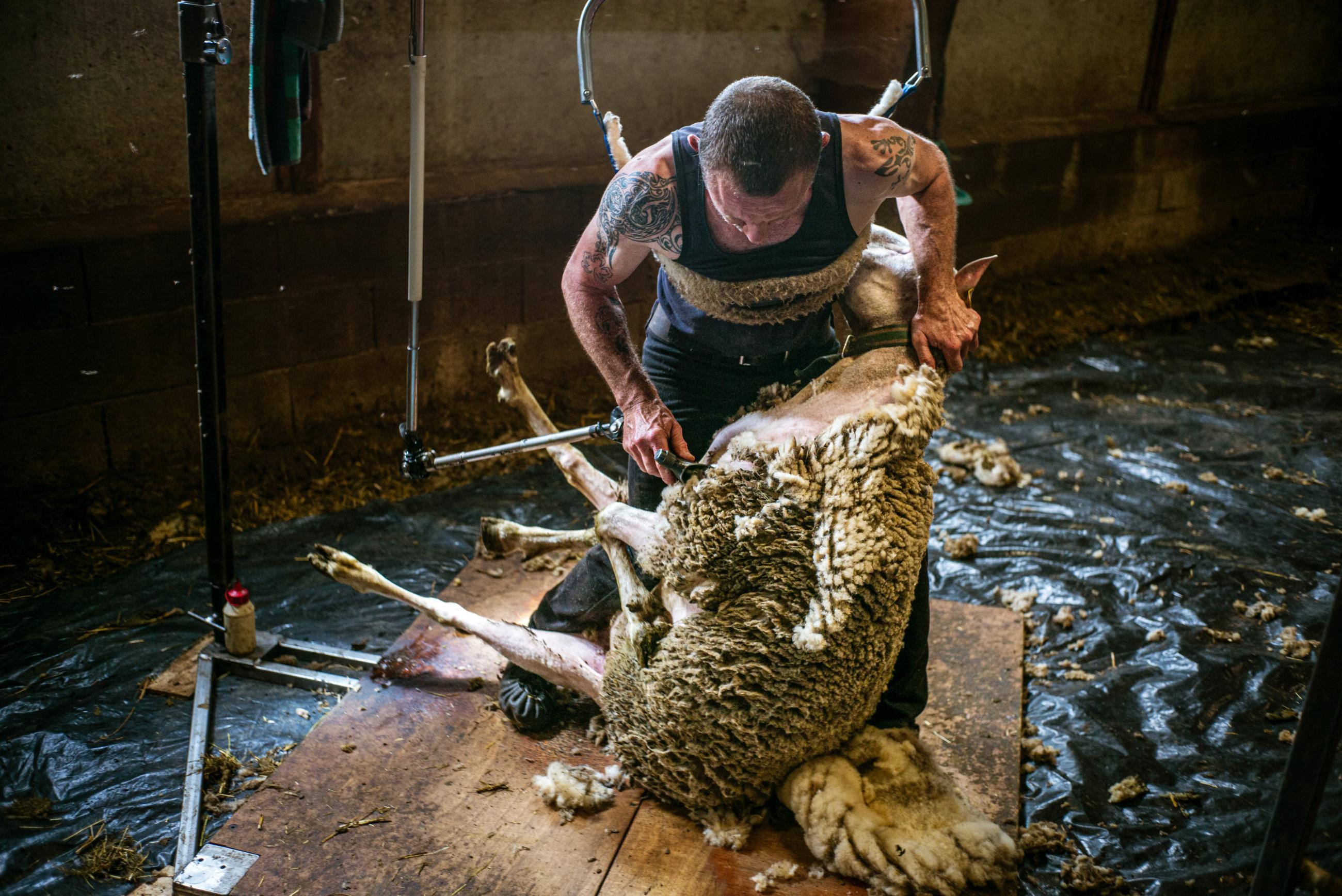Quand le textile français renoue le fil Raphaël Helle