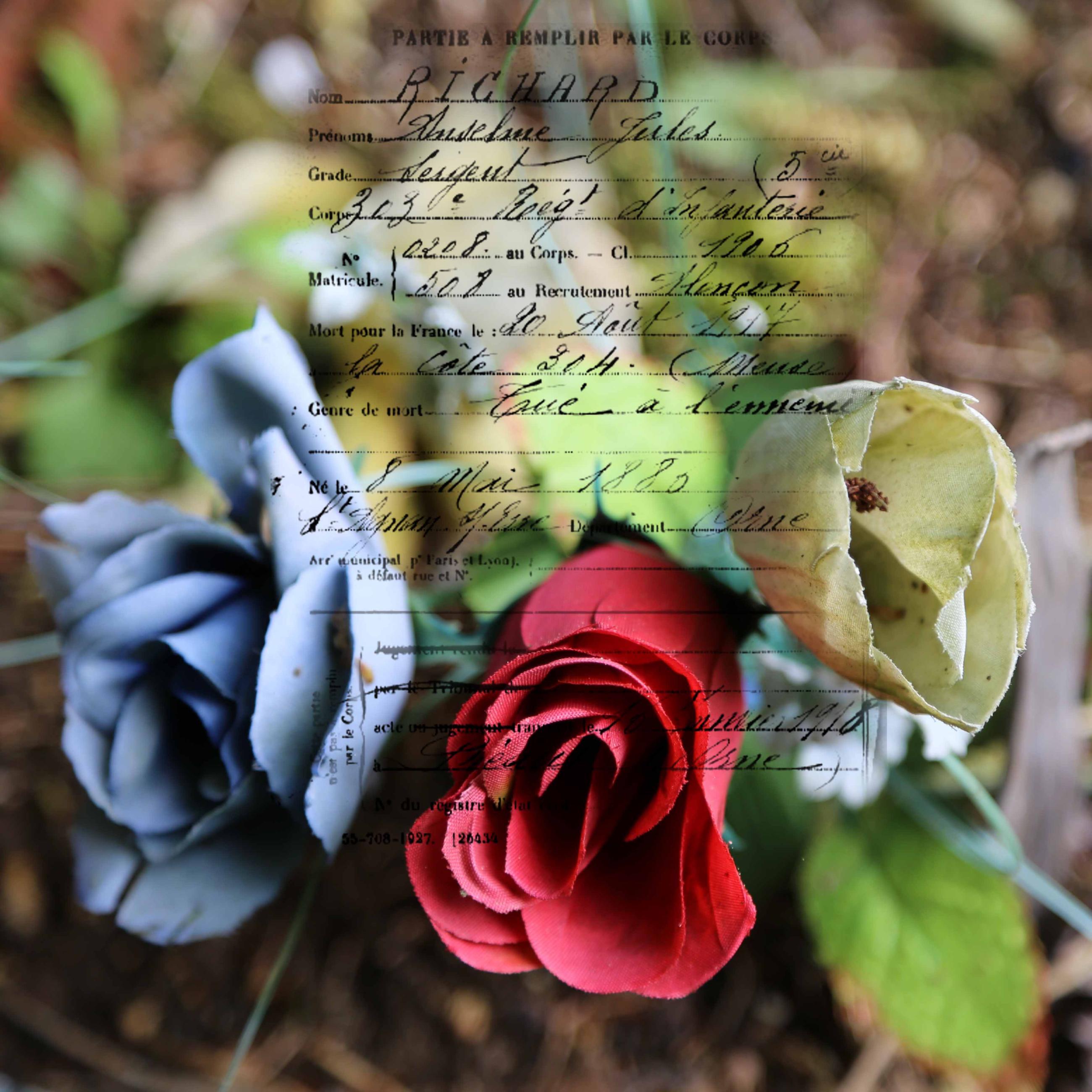 Mémoire de verre, mémoire de guerre Patrick Bard