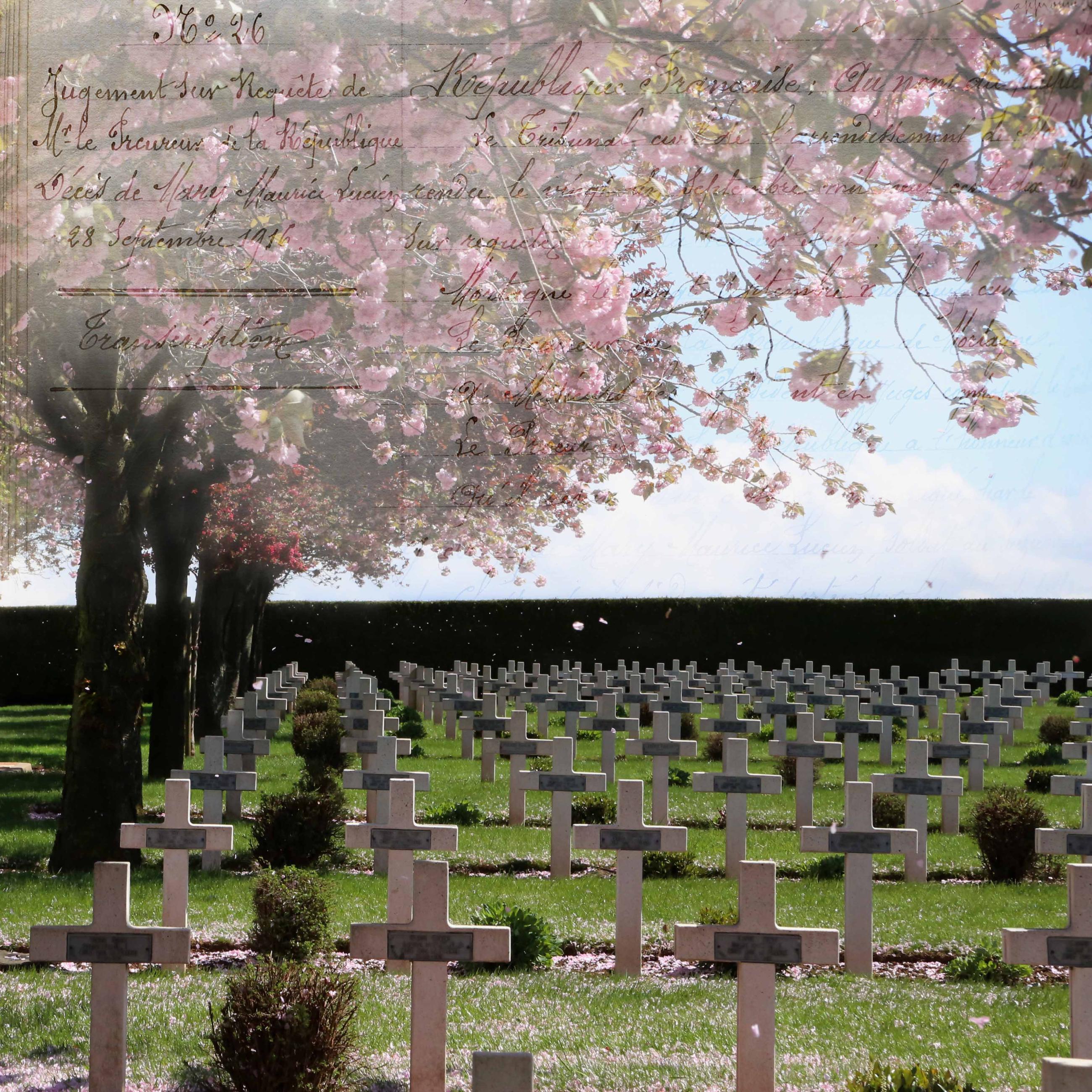 Mémoire de verre, mémoire de guerre Patrick Bard