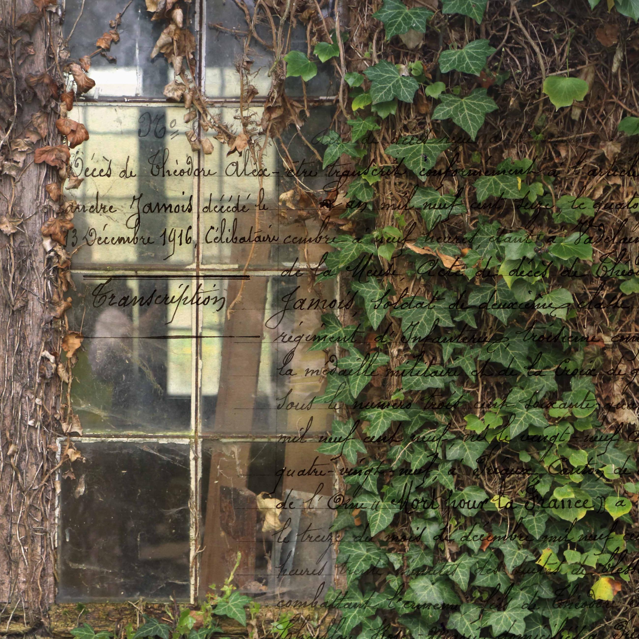 Memoire de verre, mémoire de guerre Patrick Bard