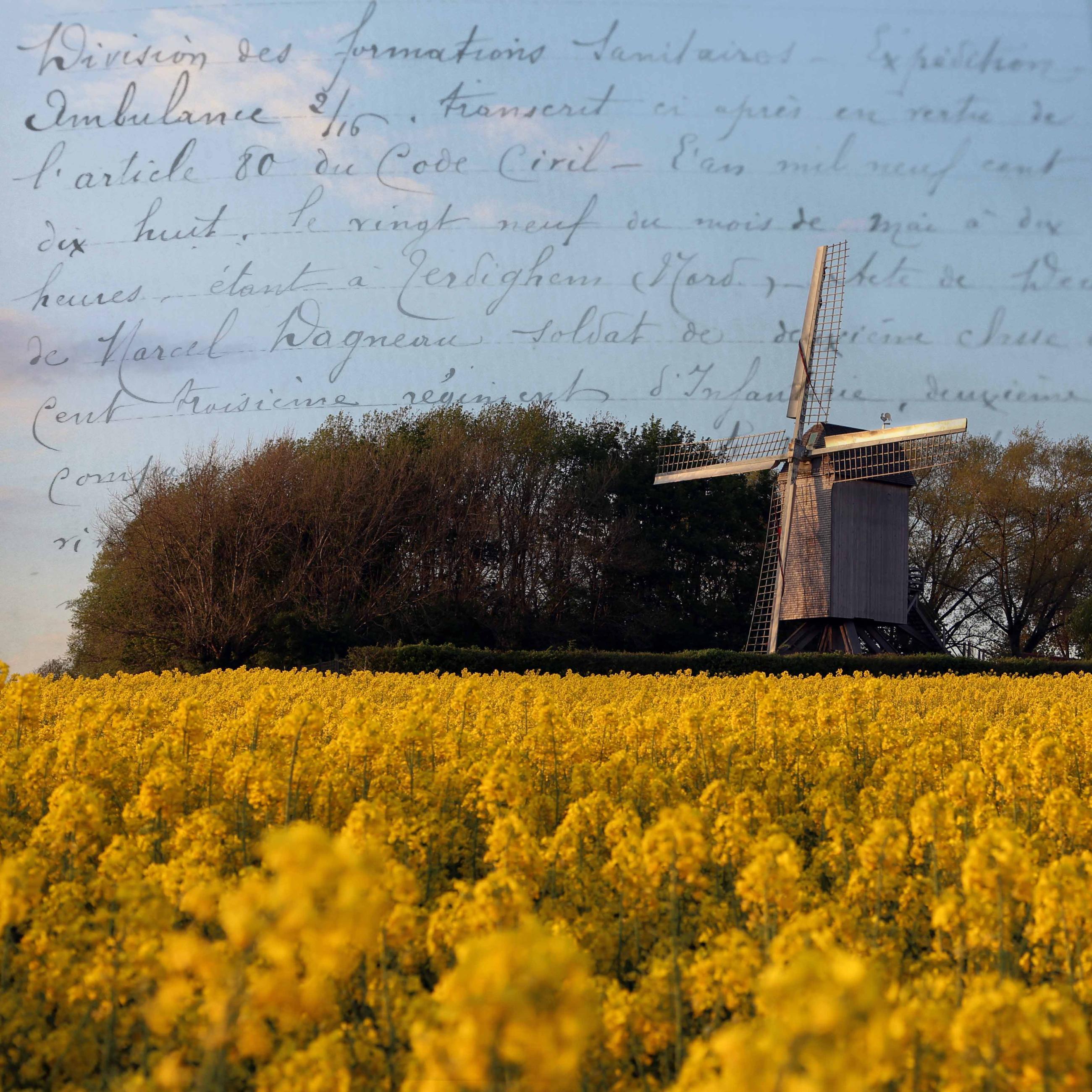 Mémoire de verre, mémoire de guerre Patrick Bard