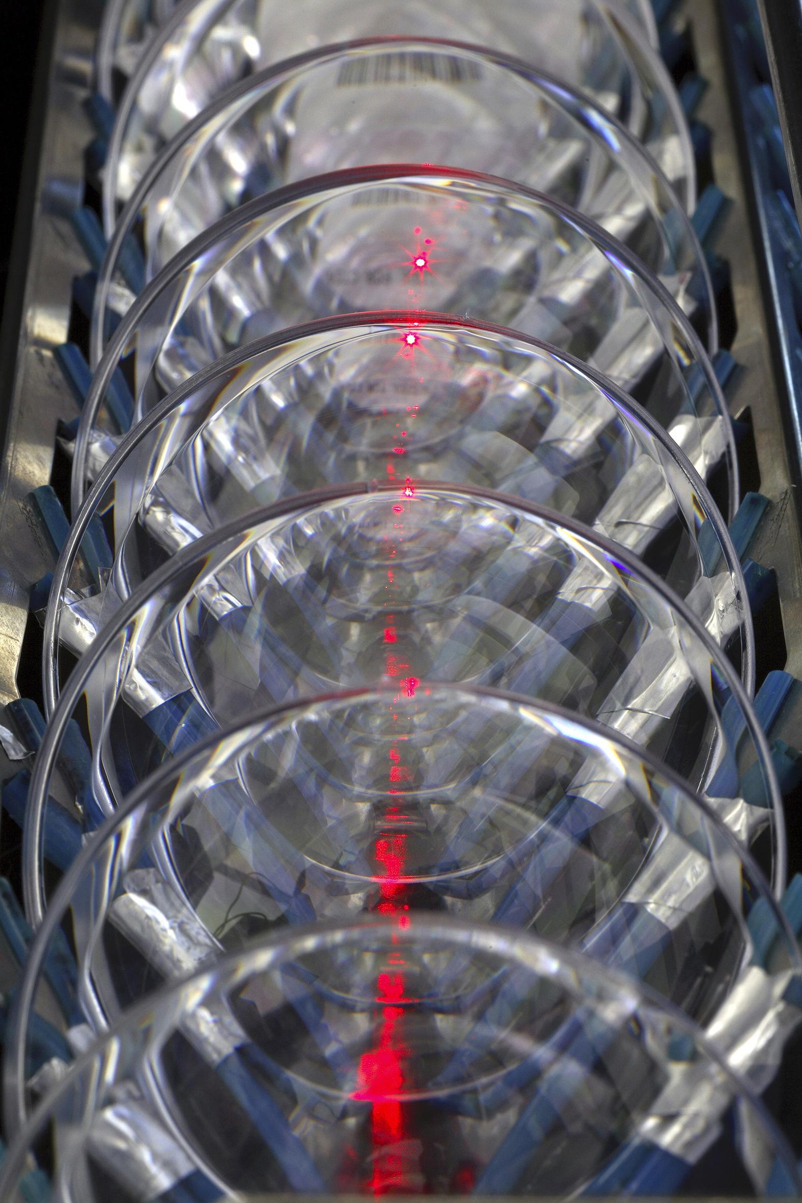 Reportage en entreprise Thierry Borredon