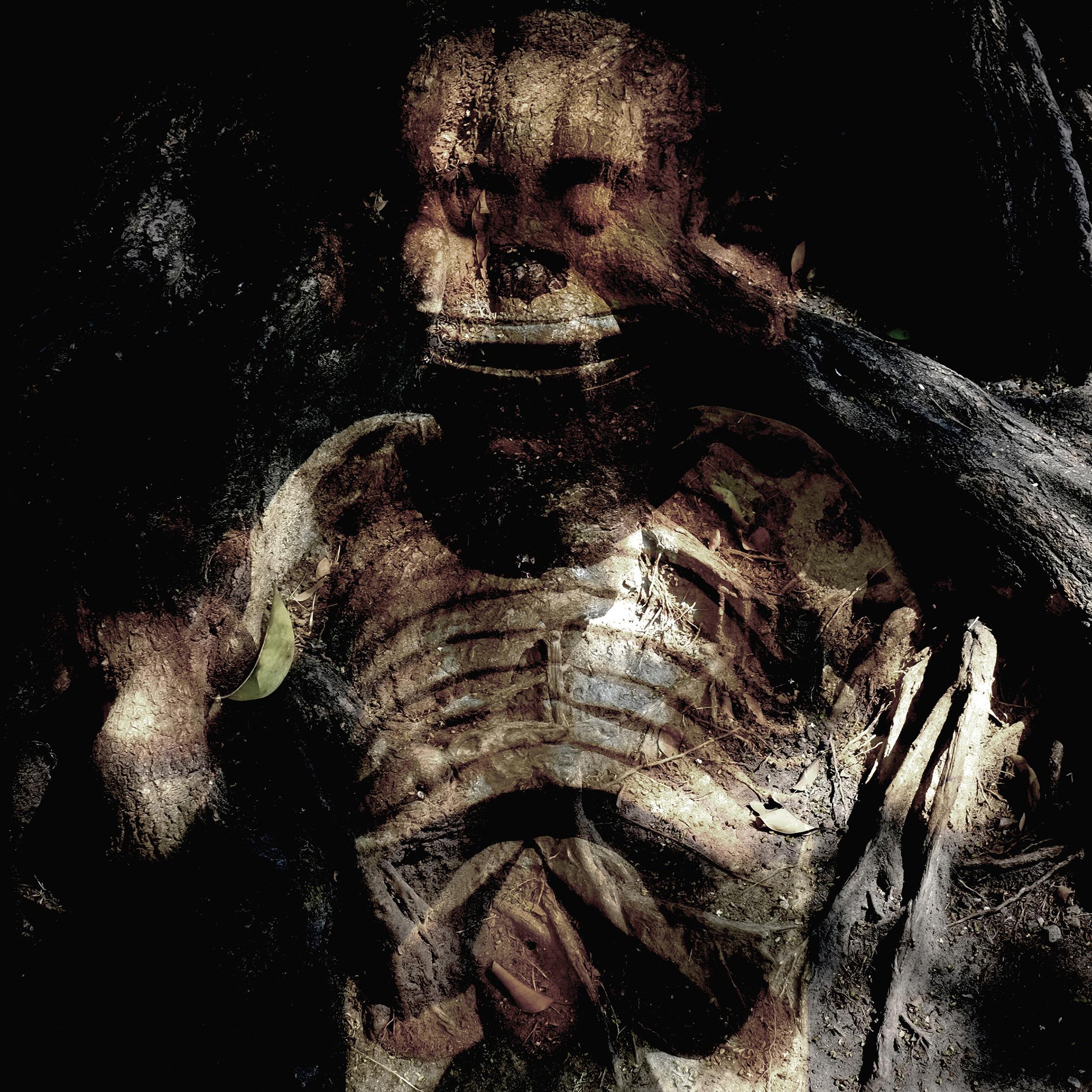 Calaveras Patrick Bard