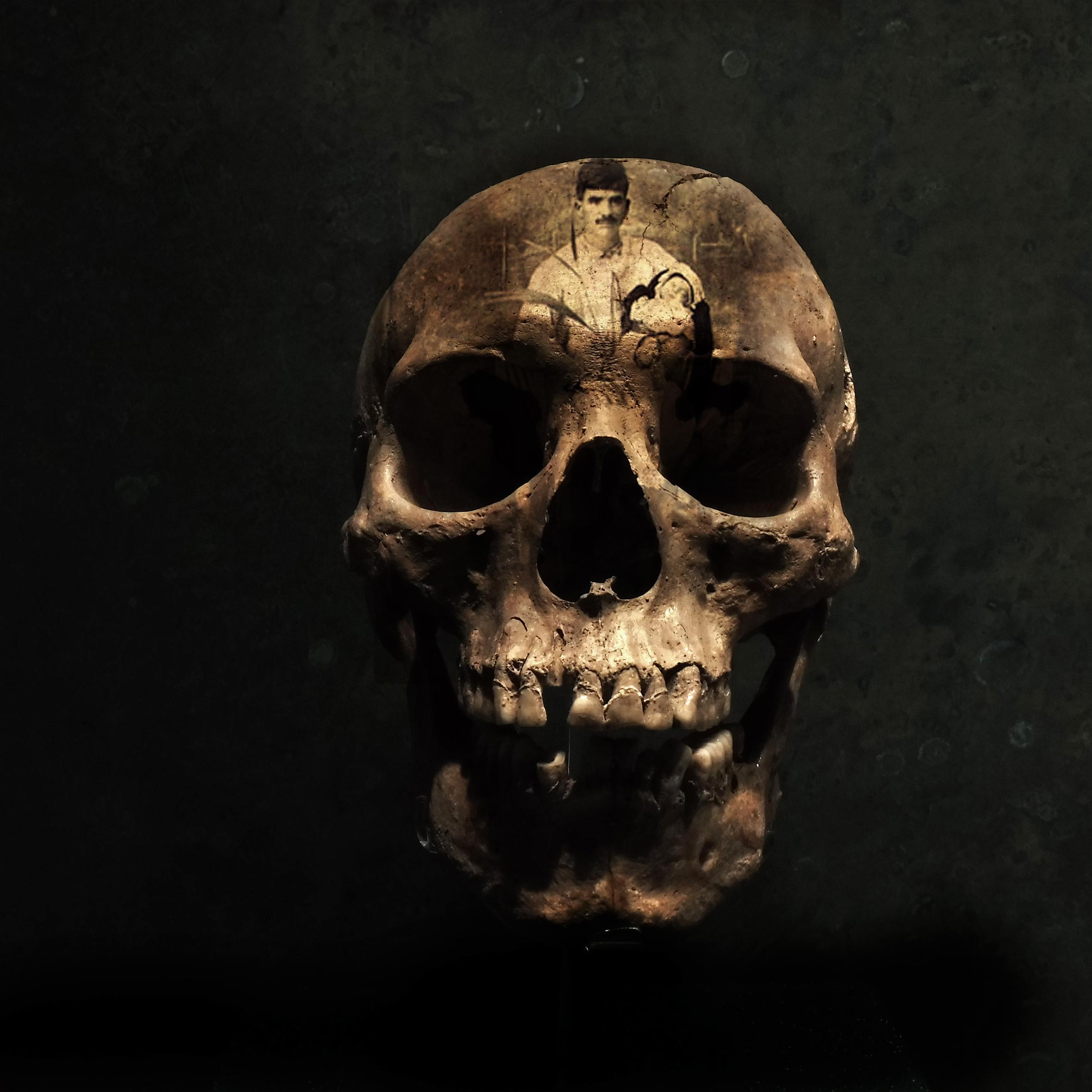 Calaveras Patrick Bard