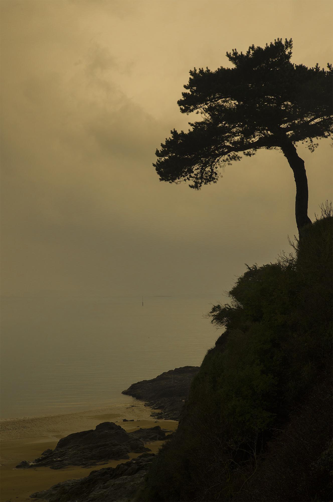 Après, la mer Thierry Borredon