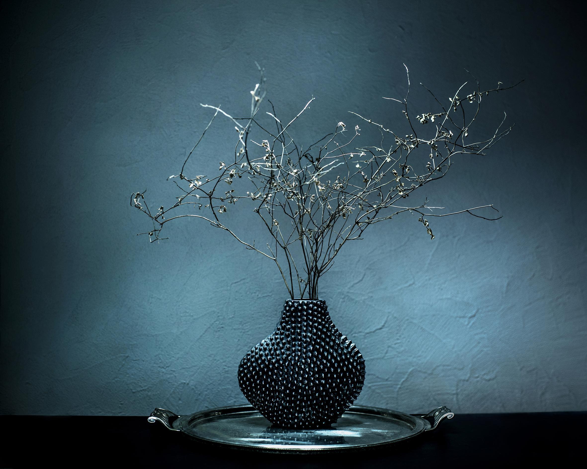 Still life Joanna Tarlet Gauteur