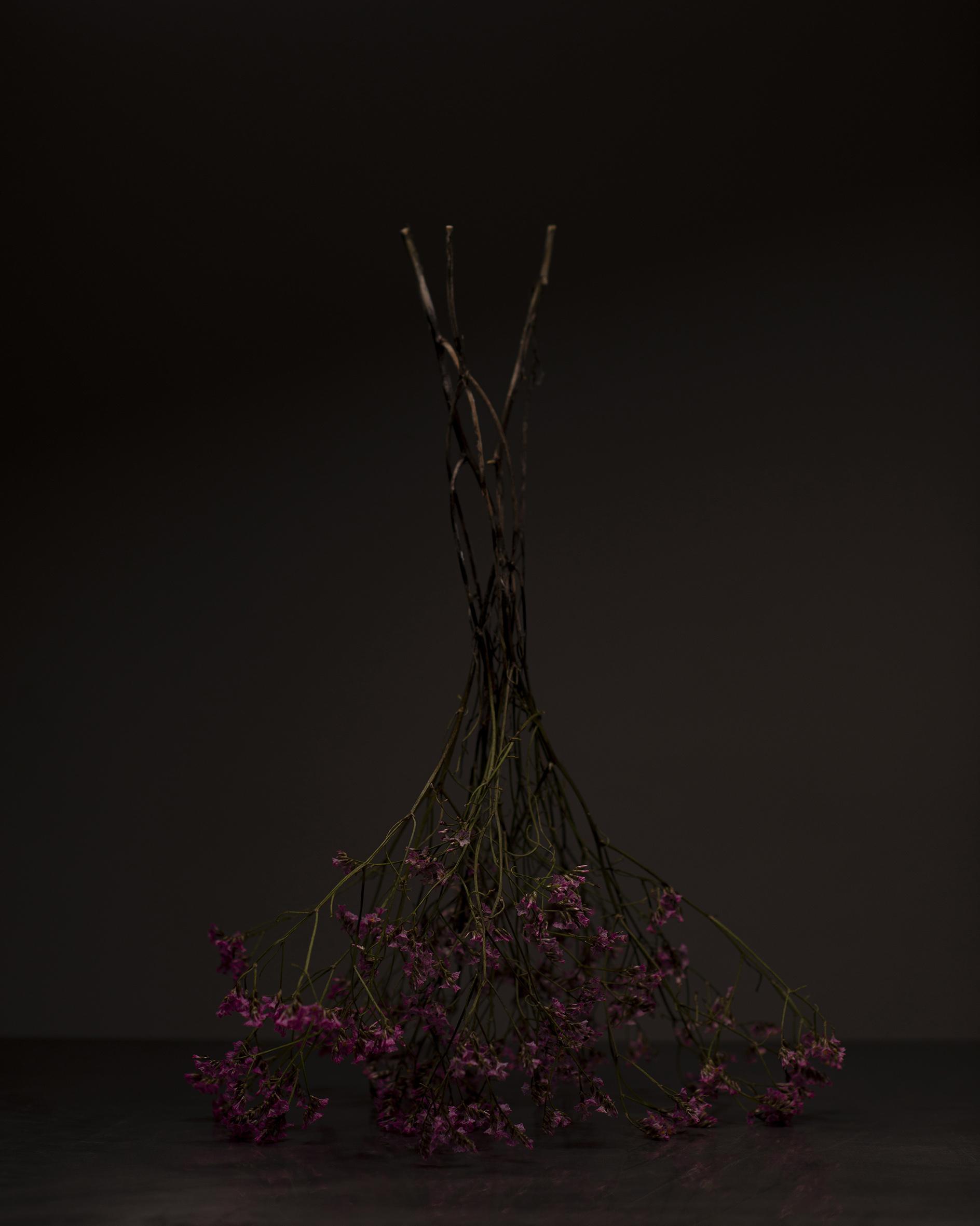 Still life Joanna Tarlet Gauteur