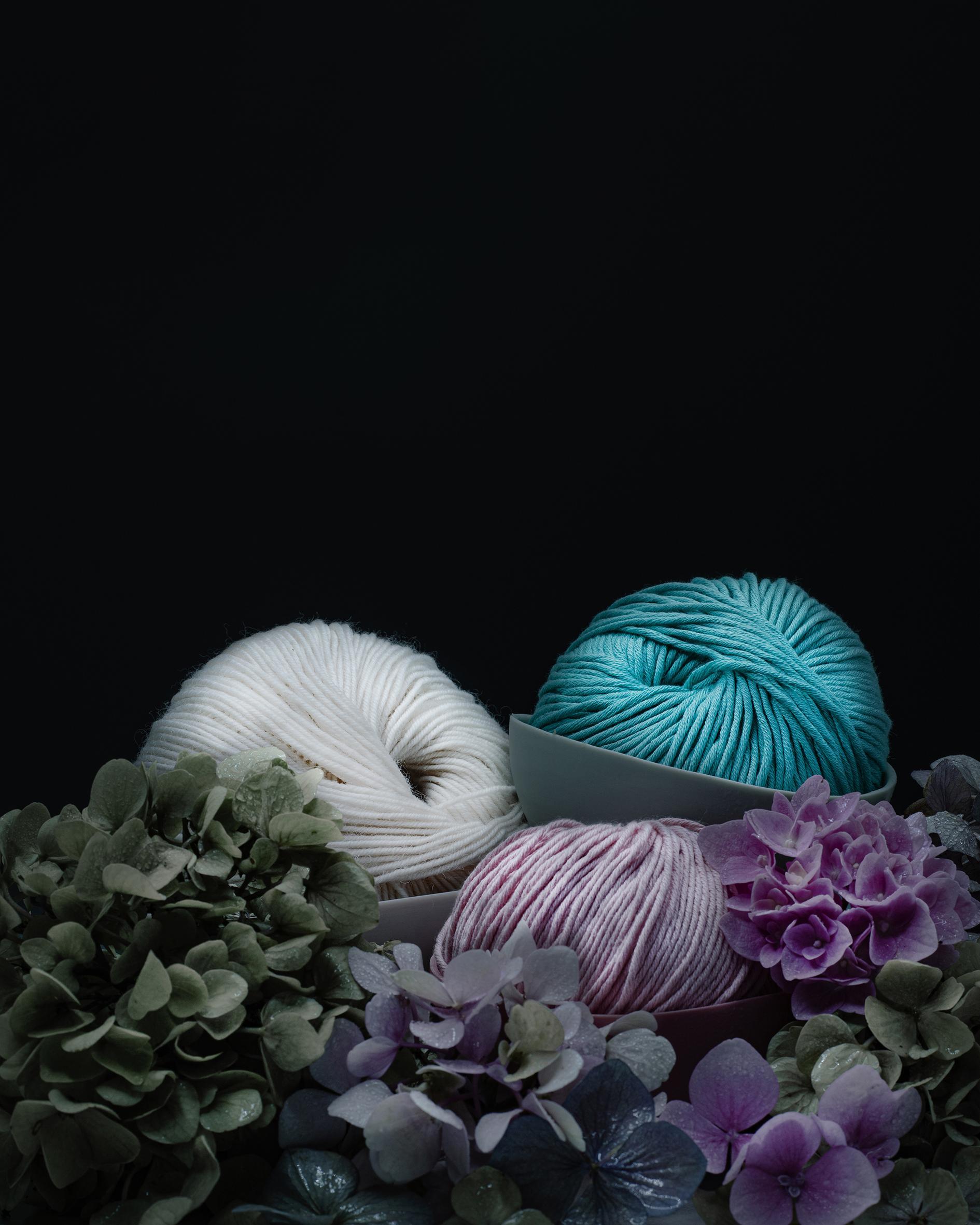 Still life Joanna Tarlet Gauteur