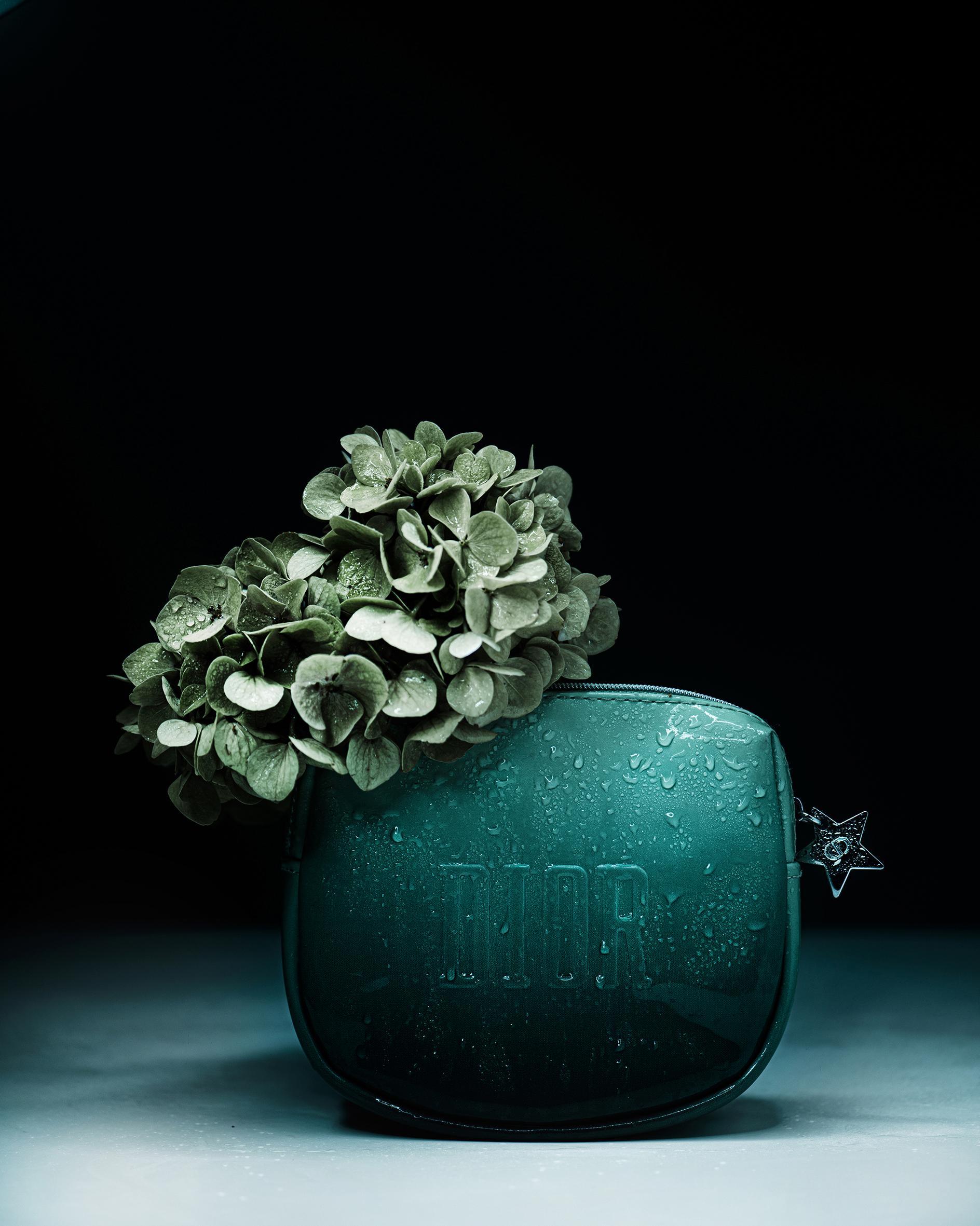 Still life Joanna Tarlet Gauteur