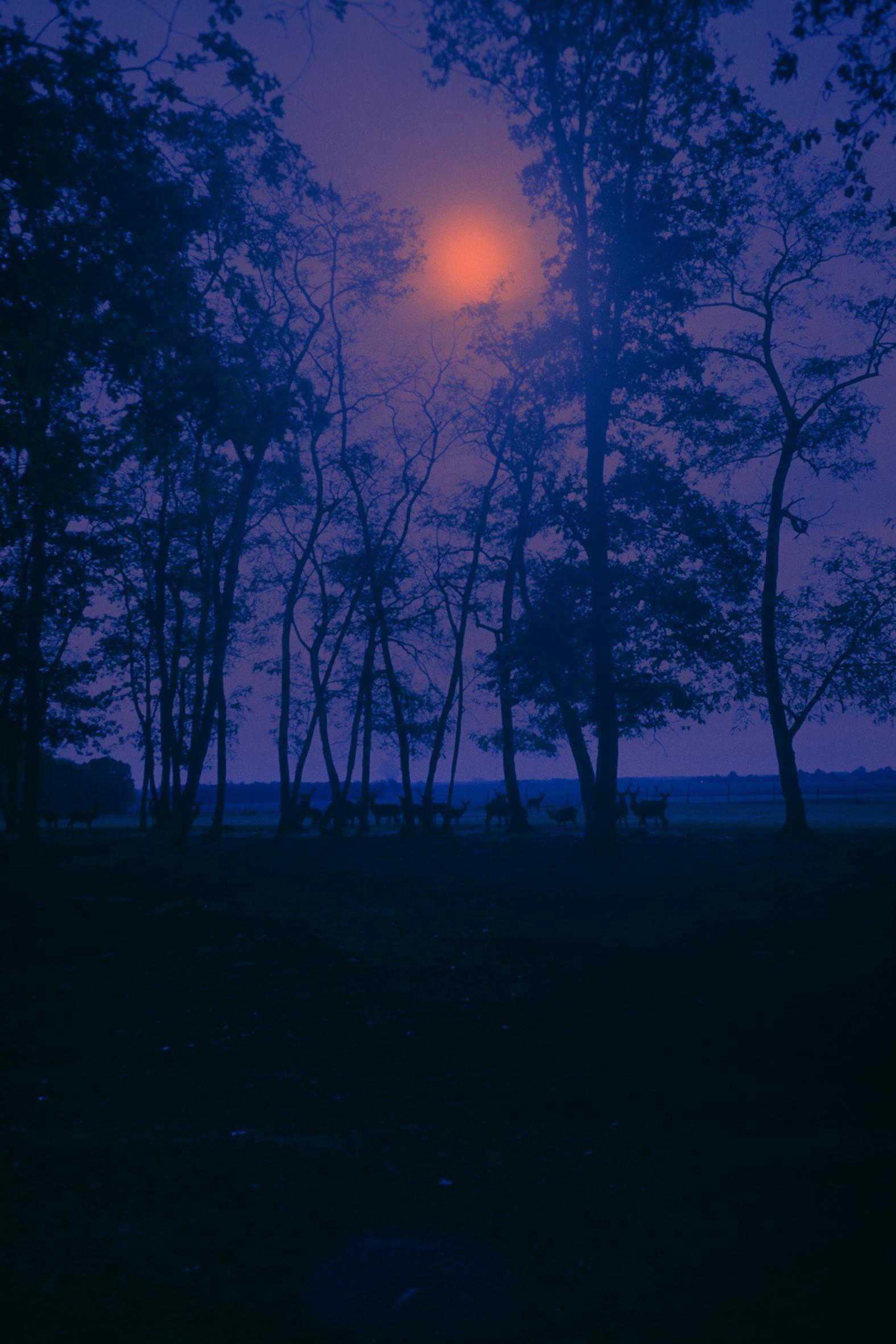 Les Doutes Arno Brignon