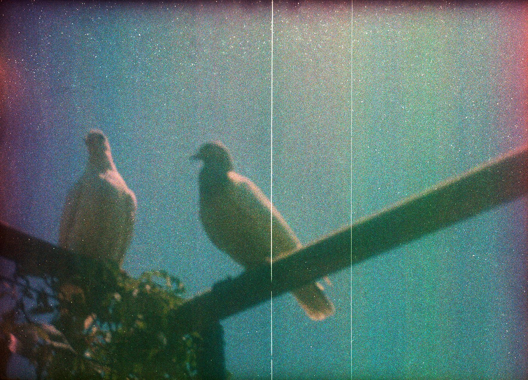 Les Doutes Arno Brignon