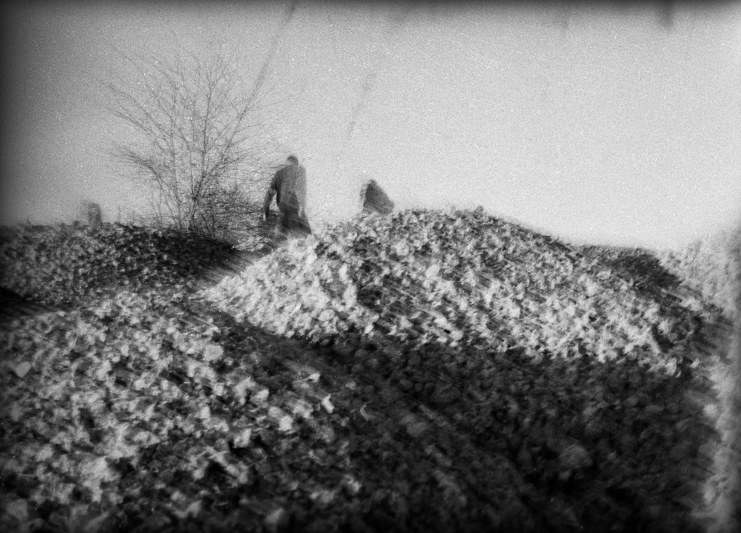 Les Doutes Arno Brignon