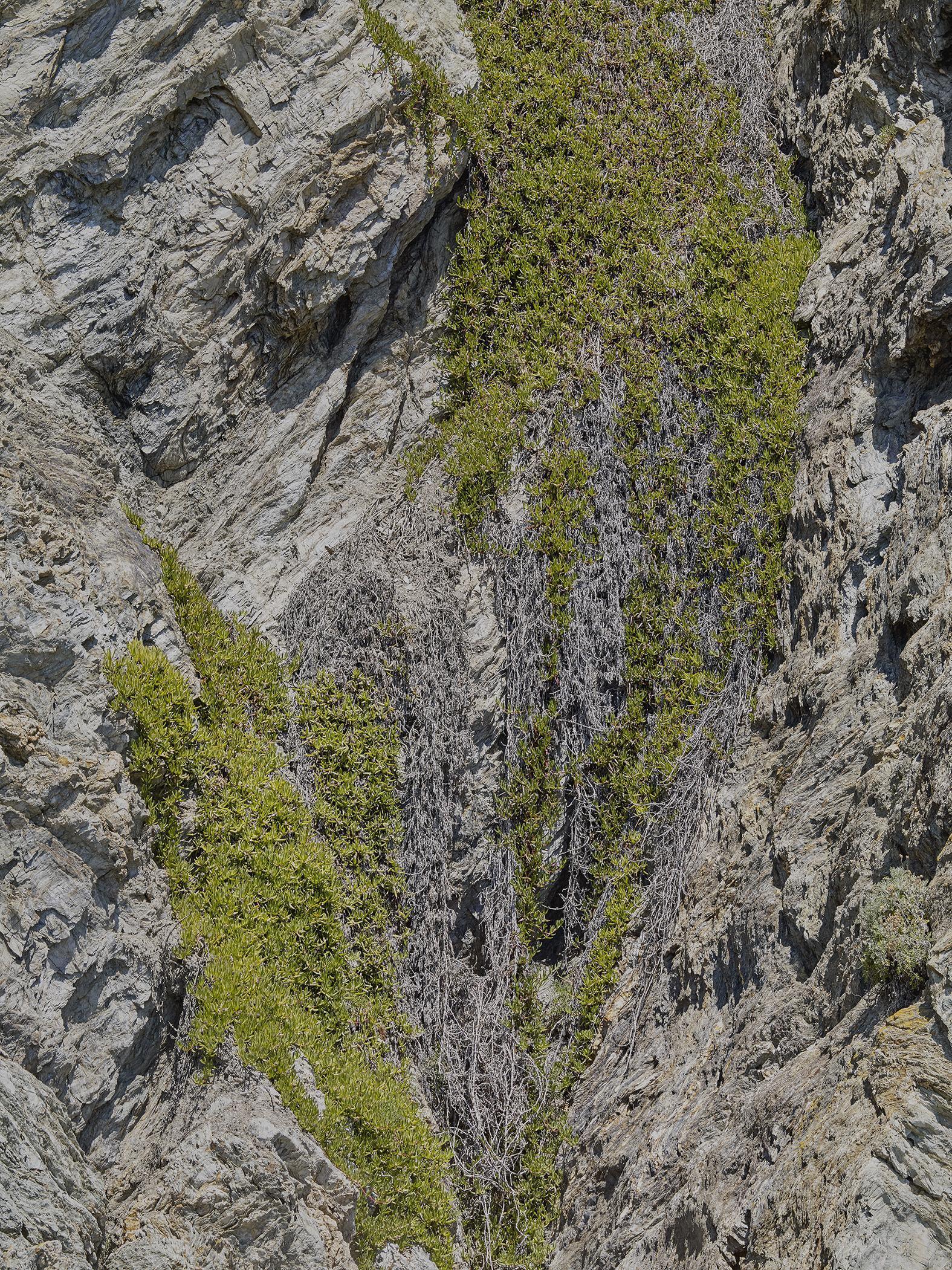 Insulaire, sur les traces de Saint-John Perse Sandrine Expilly