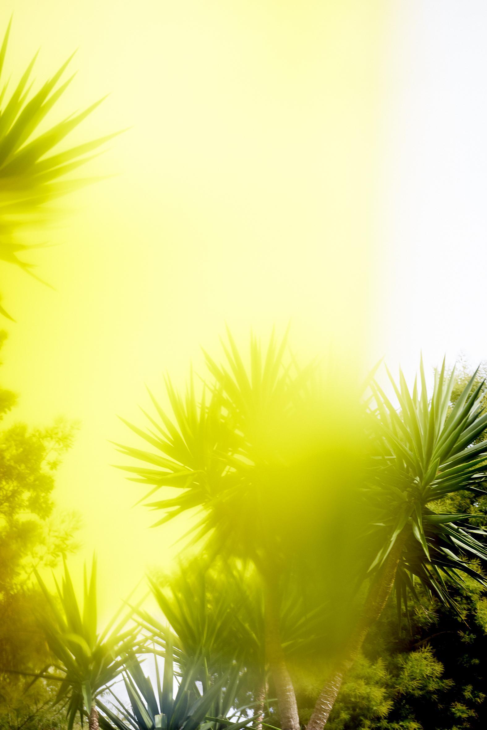 Insulaire, sur les traces de Saint-John Perse Sandrine Expilly