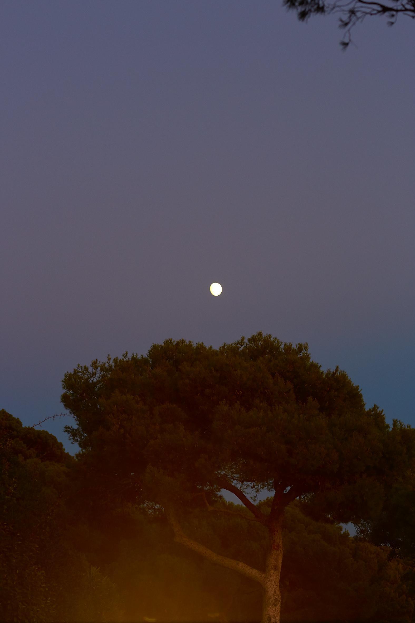Insulaire, sur les traces de Saint-John Perse Sandrine Expilly