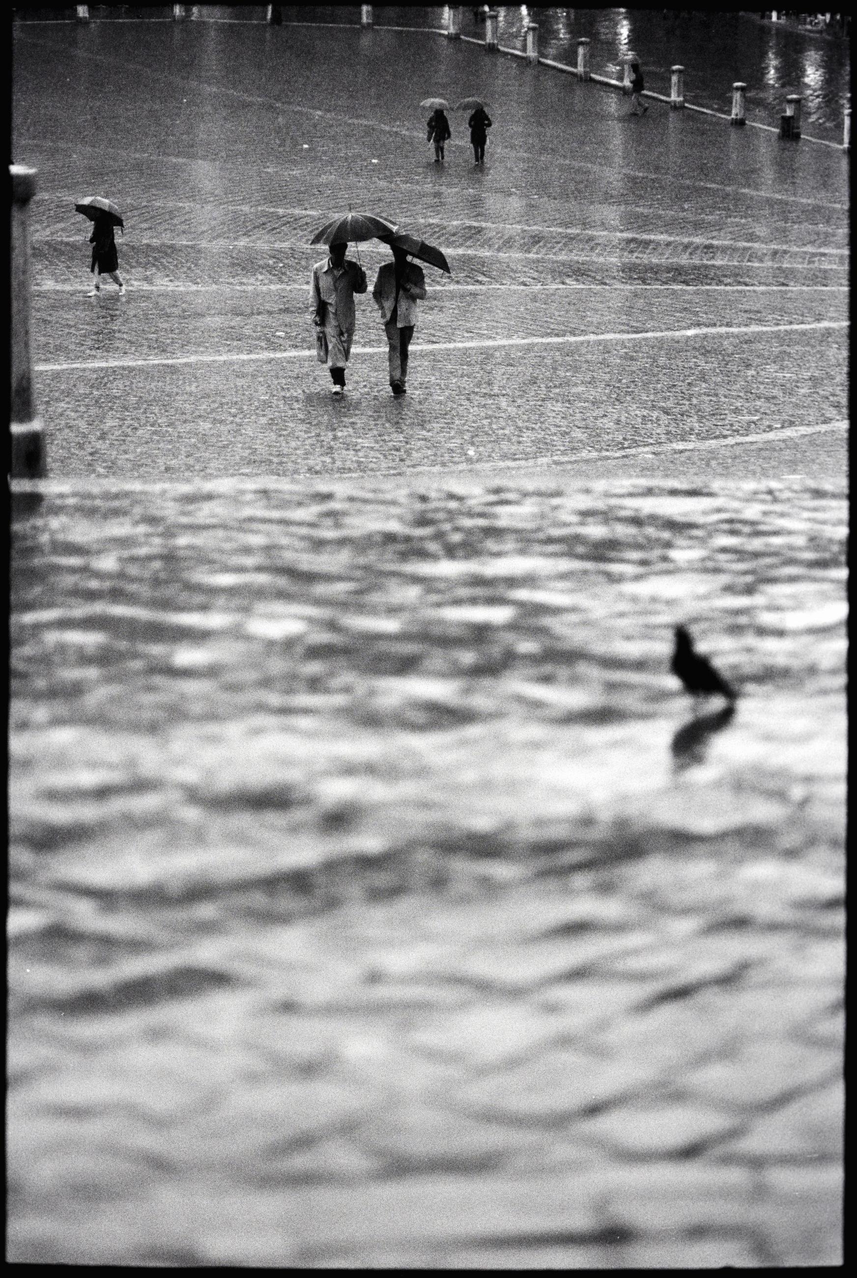Le voyage en Italie Carole Bellaïche