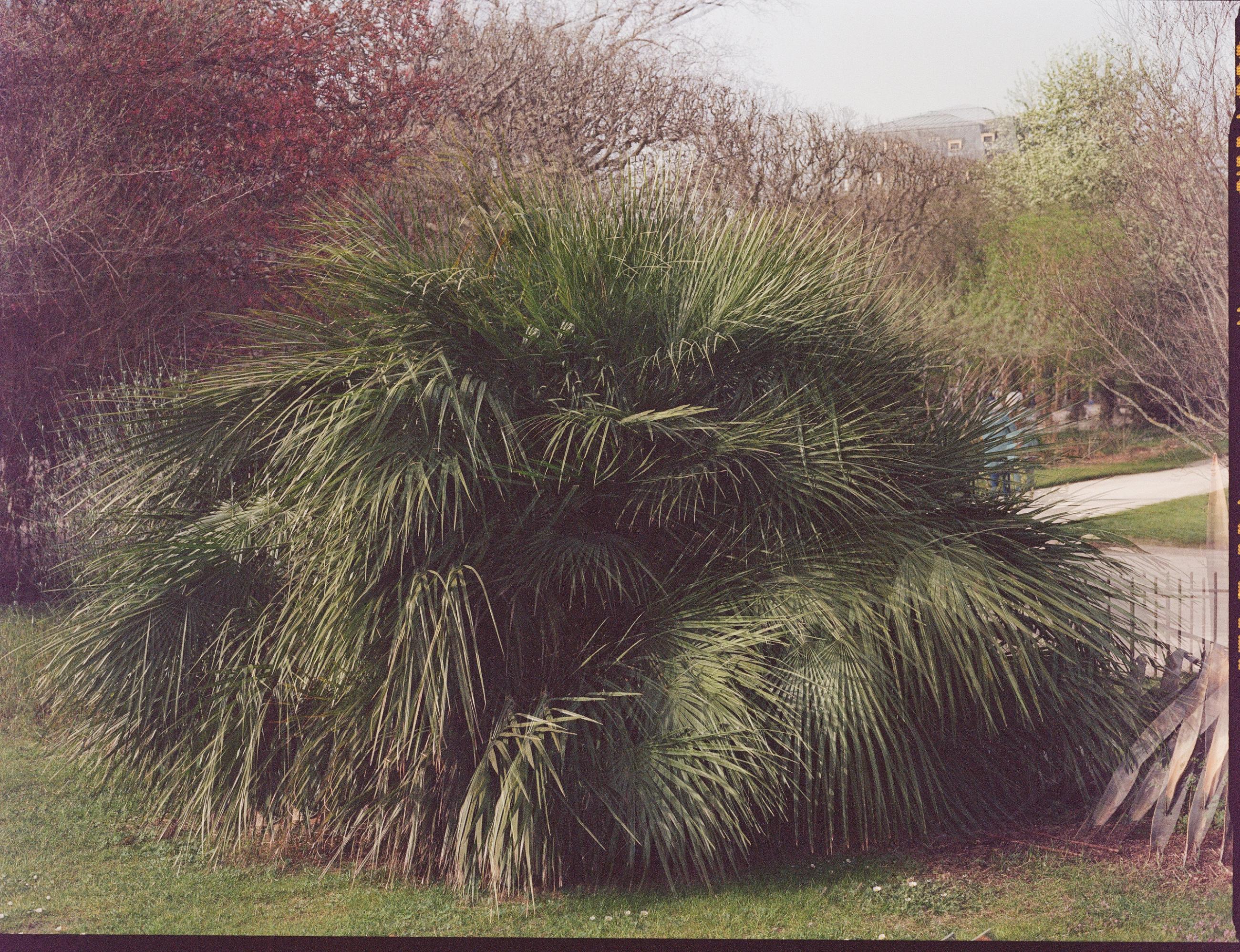 Fleurs et jardins Carole Bellaïche