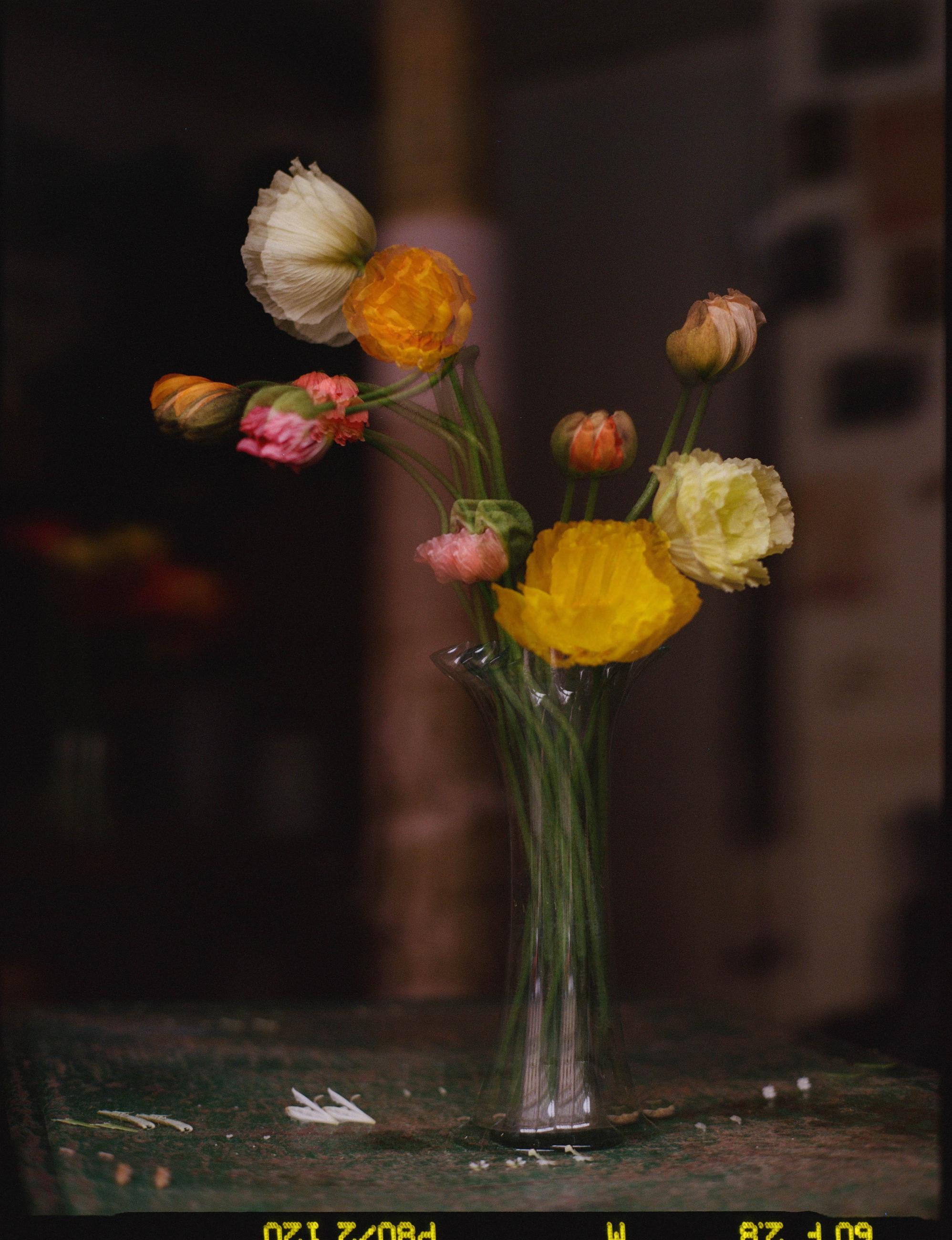 Fleurs et jardins Carole Bellaïche