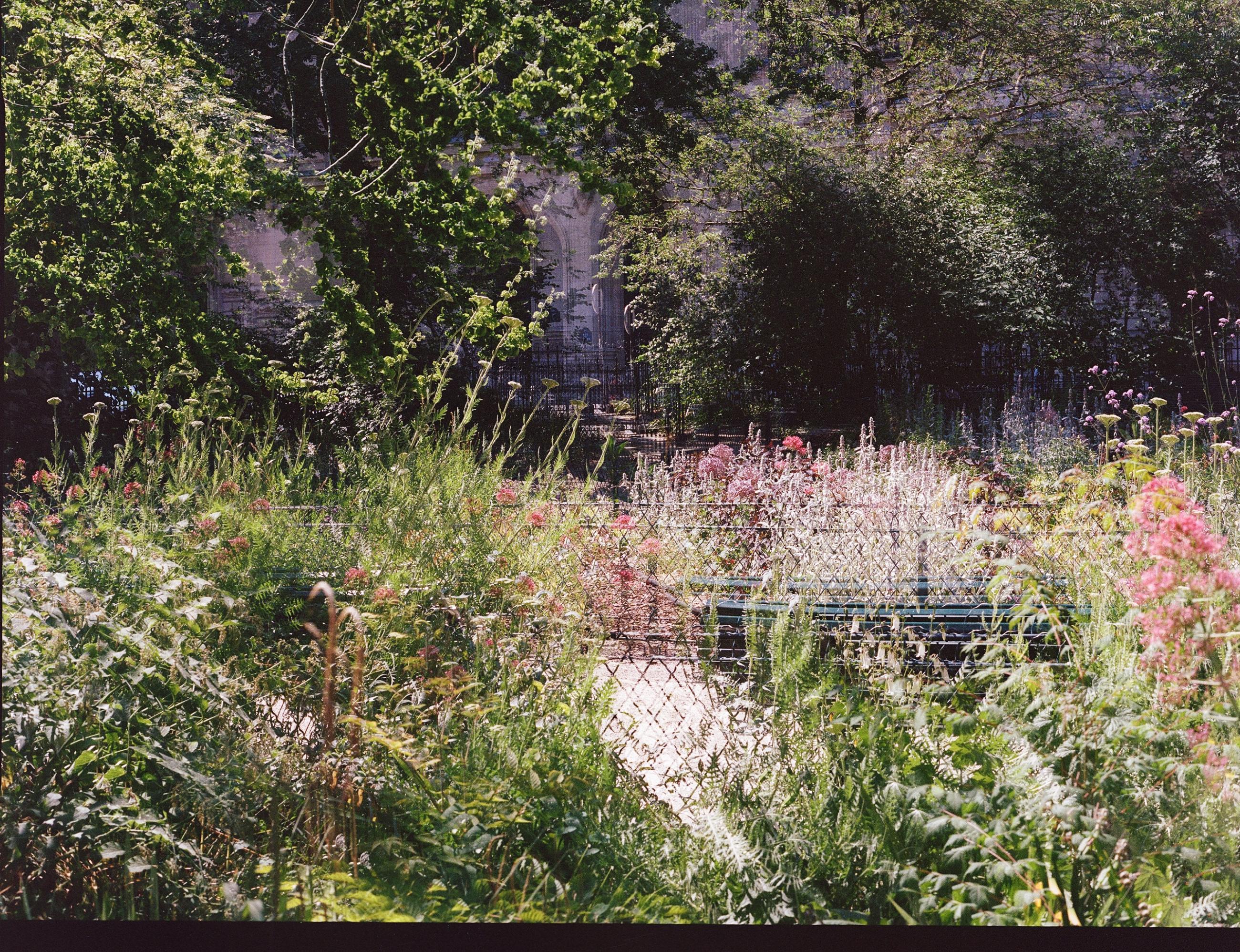 Fleurs et jardins Carole Bellaïche