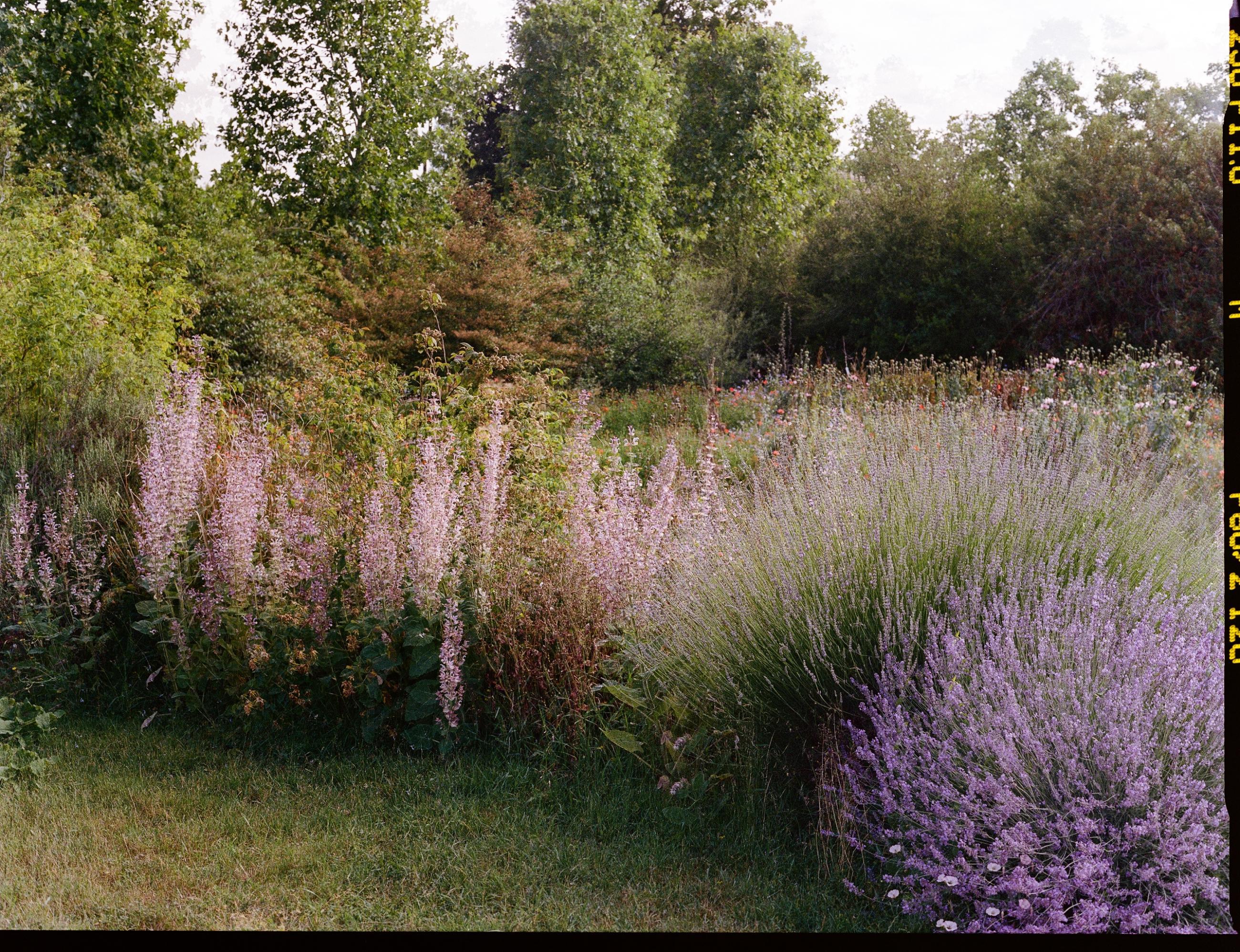 Fleurs et jardins Carole Bellaïche