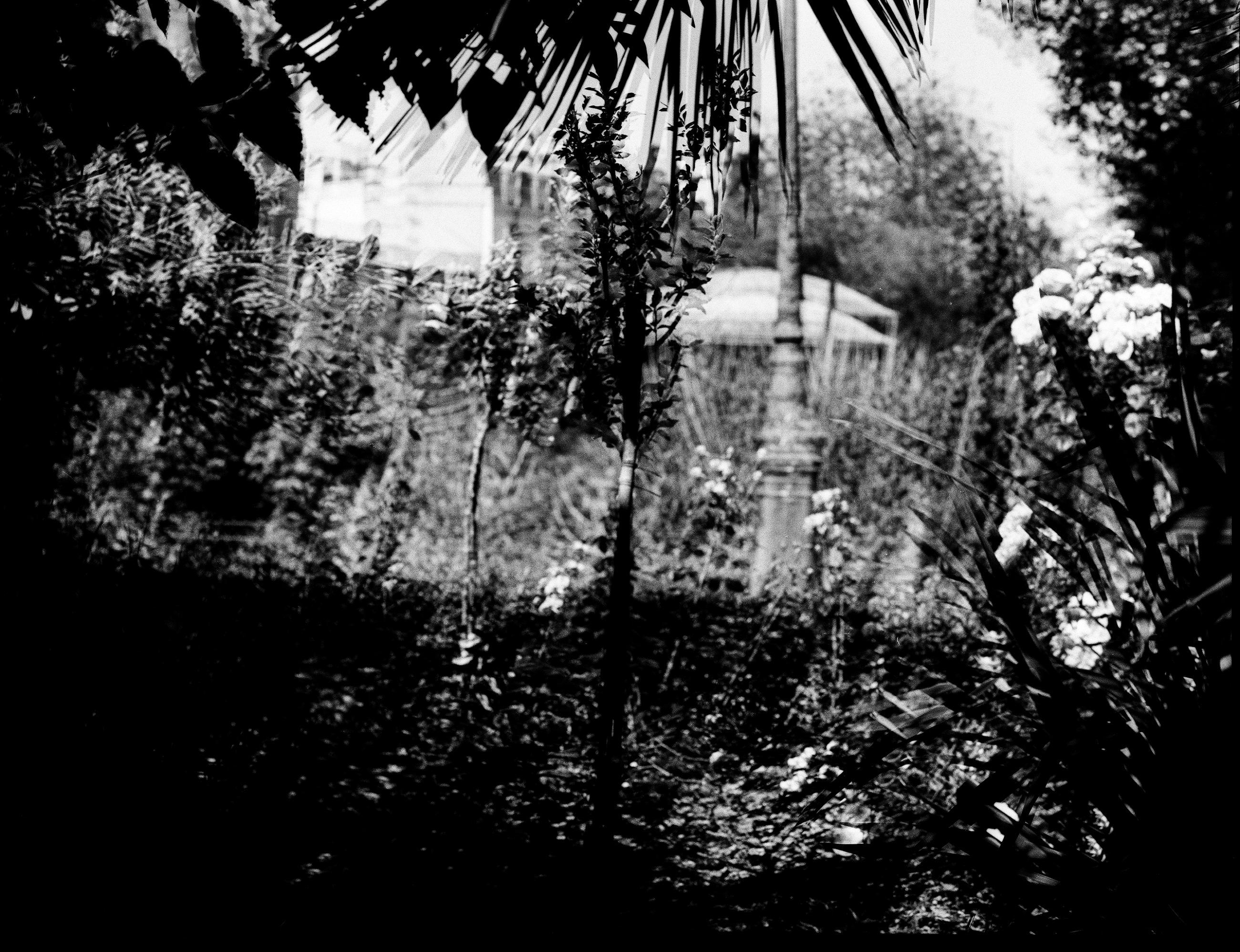 Fleurs et jardins Carole Bellaïche