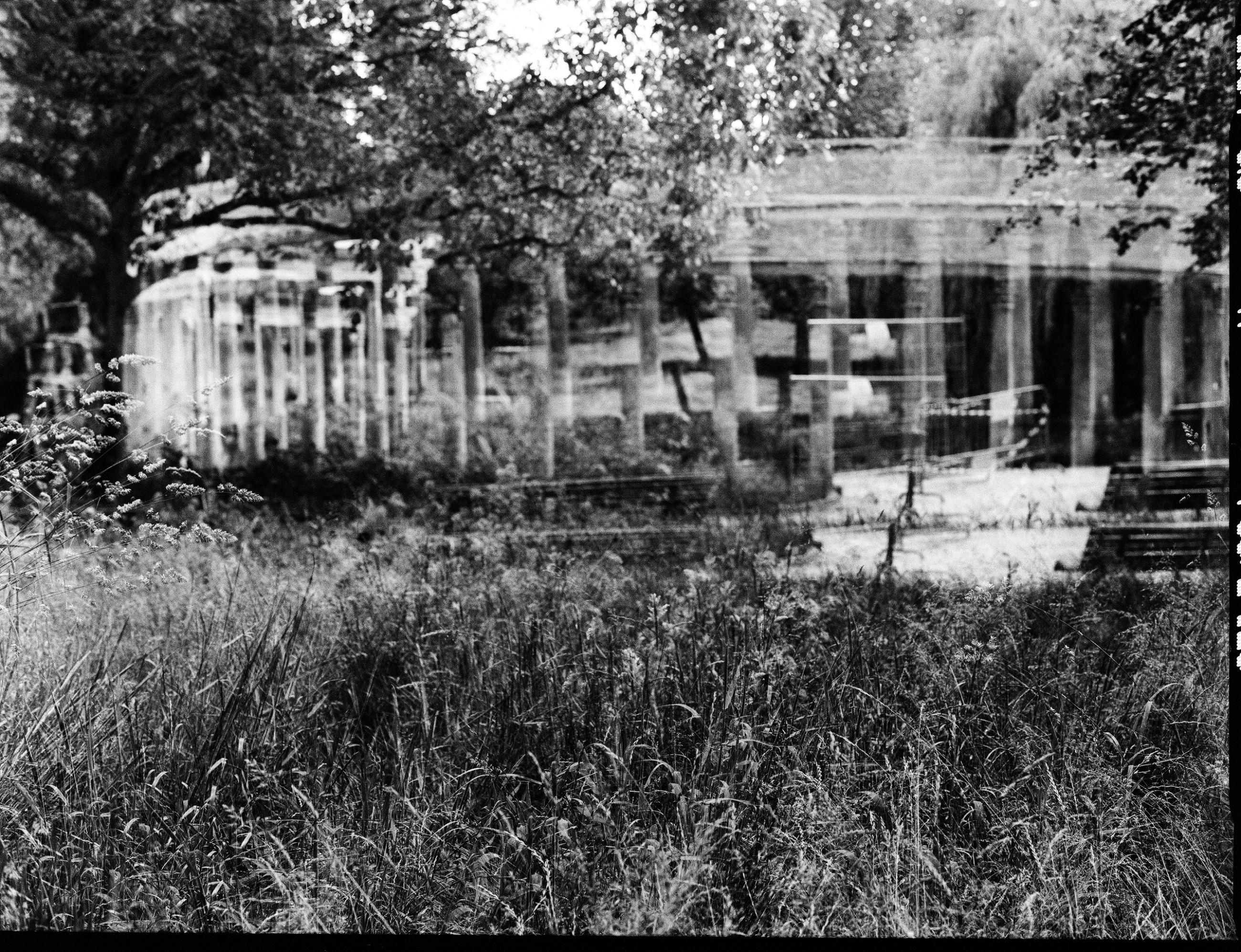 Fleurs et jardins Carole Bellaïche