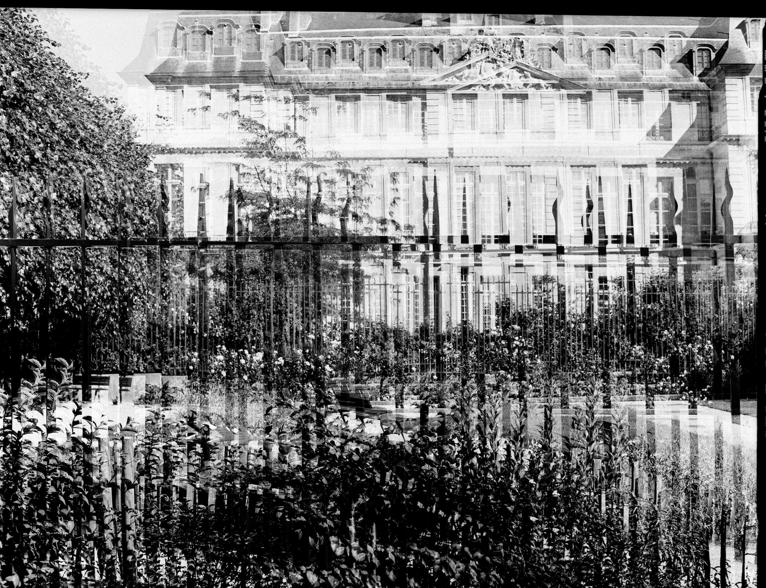 Fleurs et jardins Carole Bellaïche