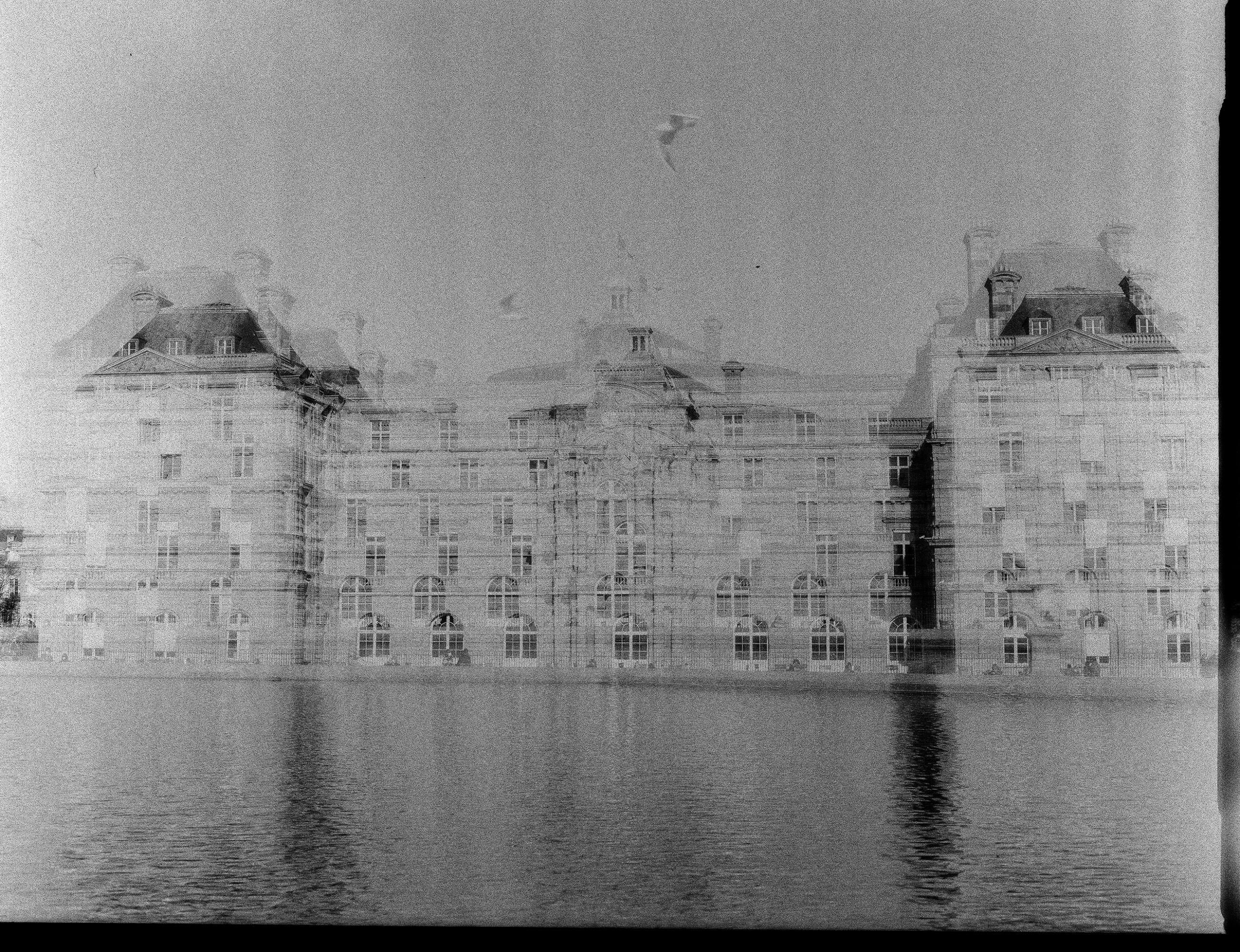 Fleurs et jardins Carole Bellaïche