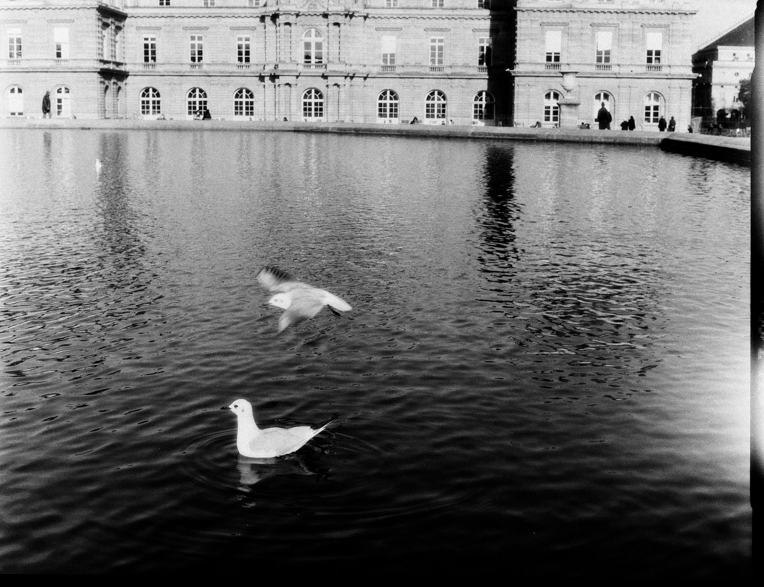 Fleurs et jardins Carole Bellaïche