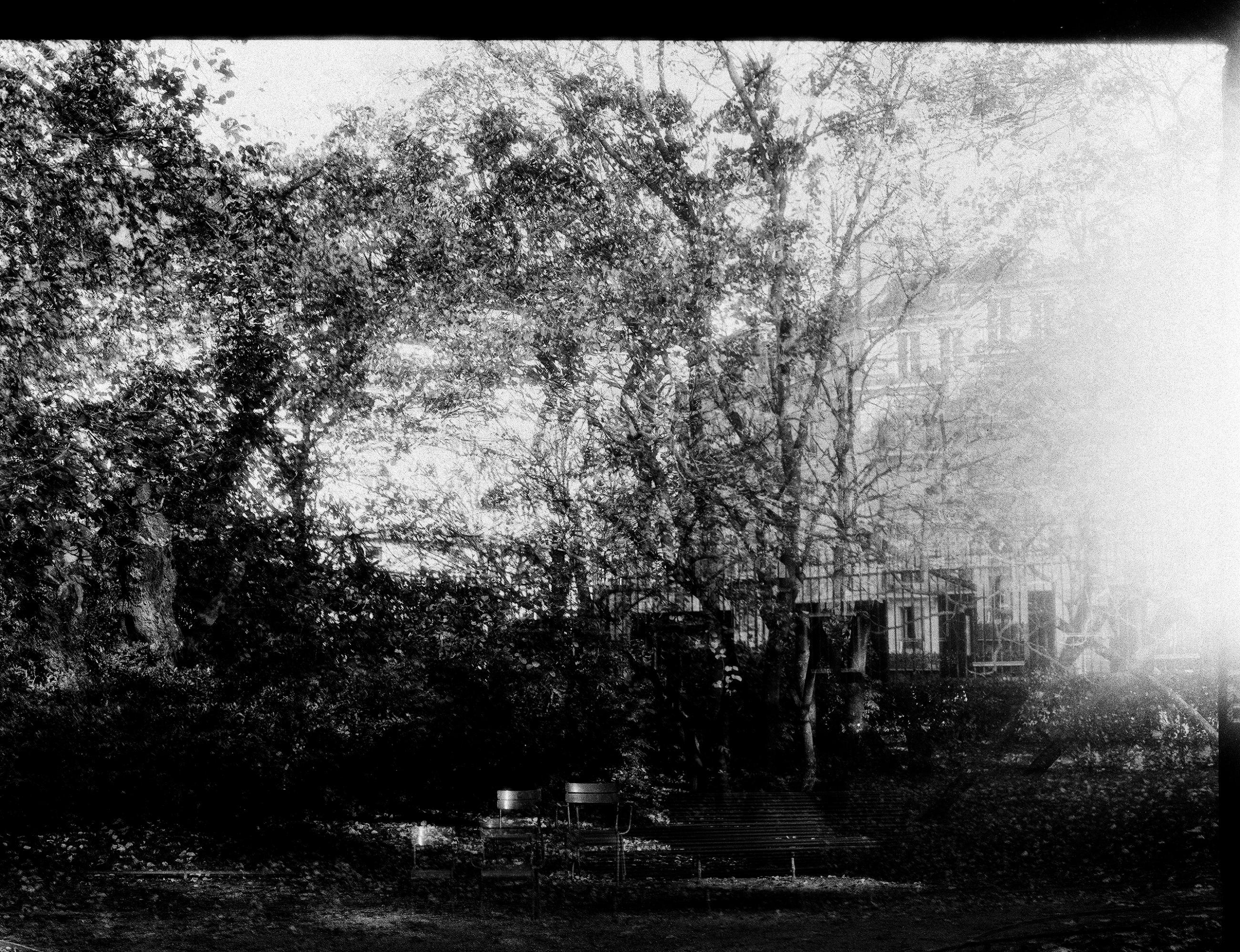 Fleurs et jardins Carole Bellaïche