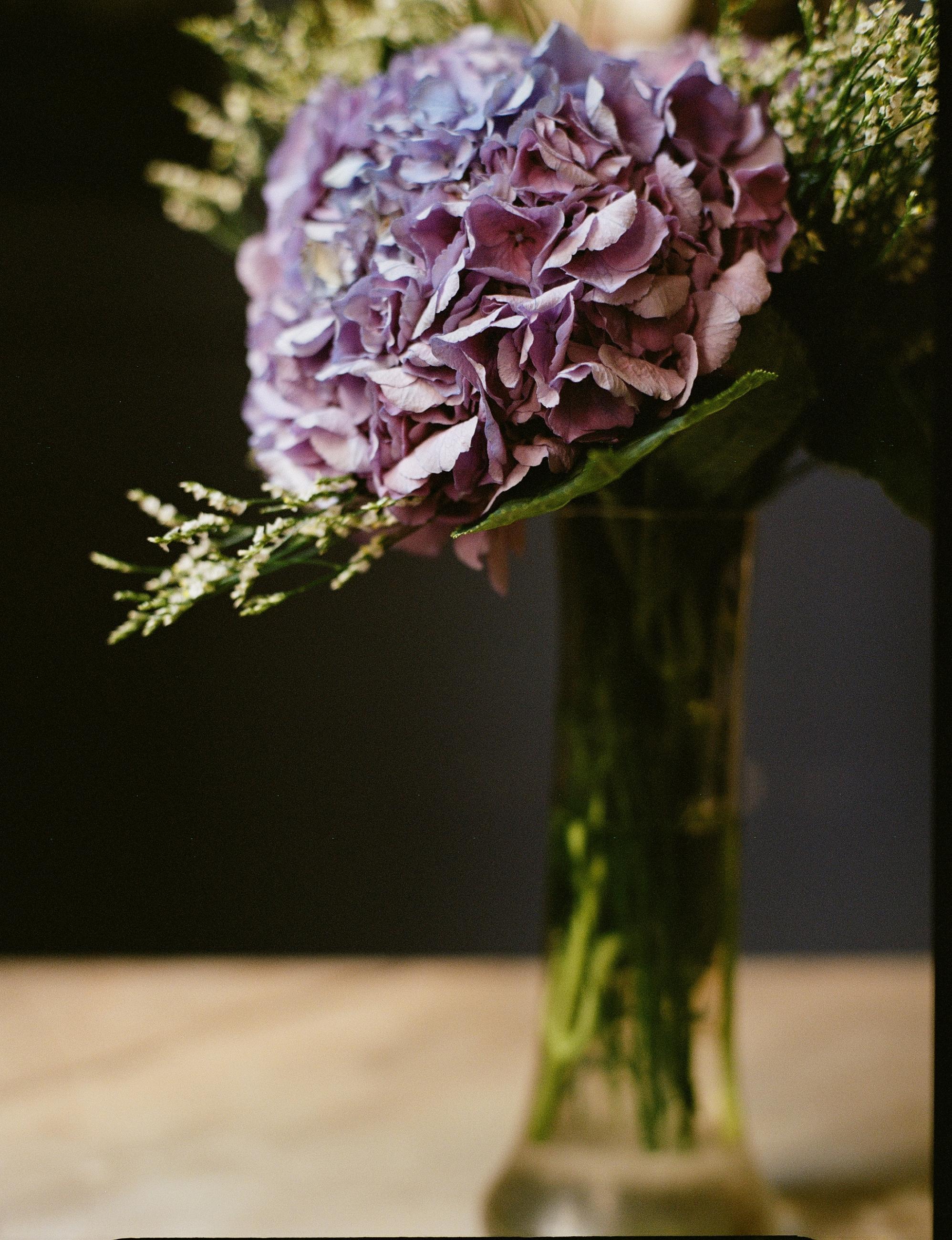 Fleurs et jardins Carole Bellaïche