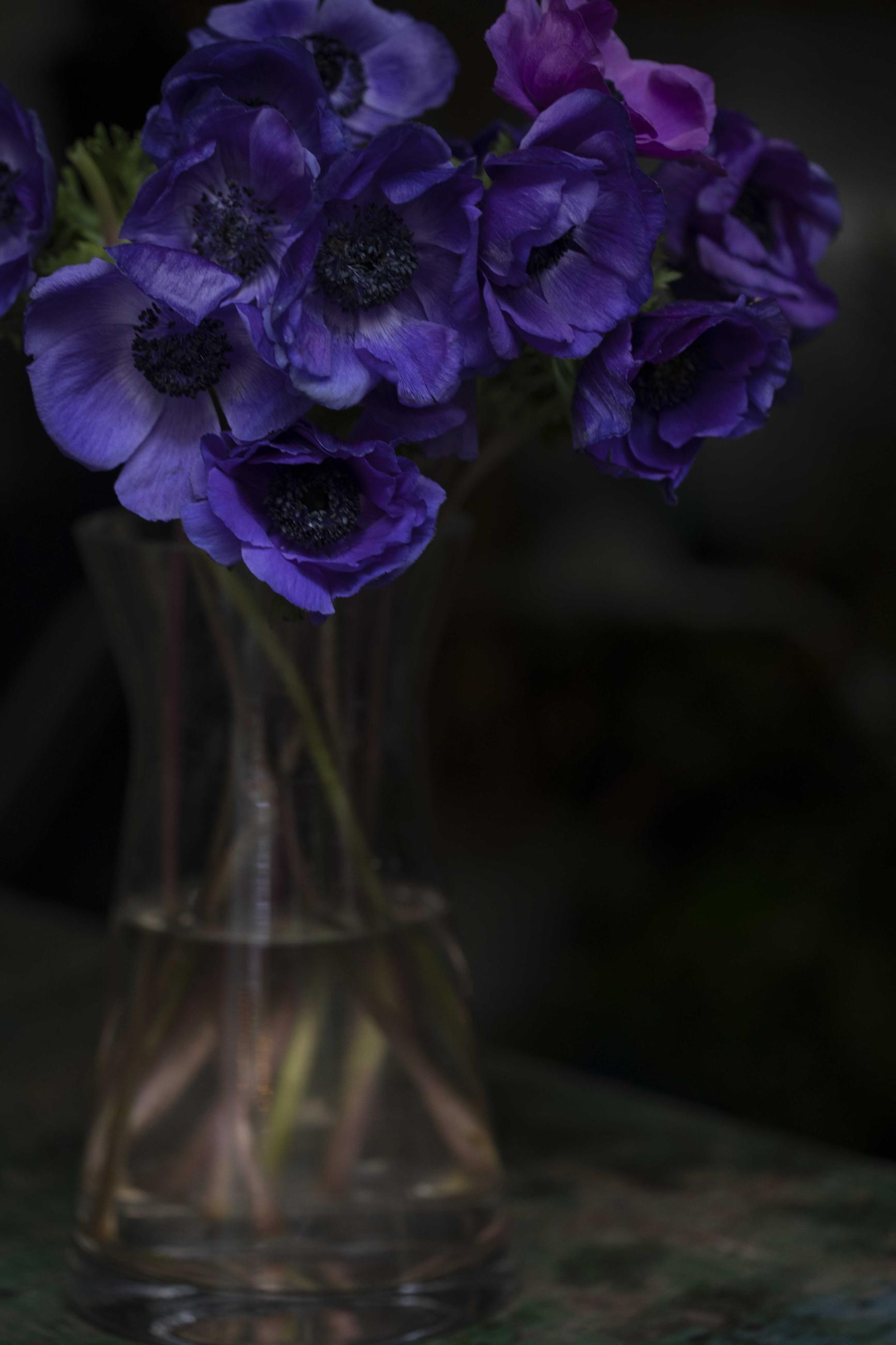 Fleurs et jardins Carole Bellaïche